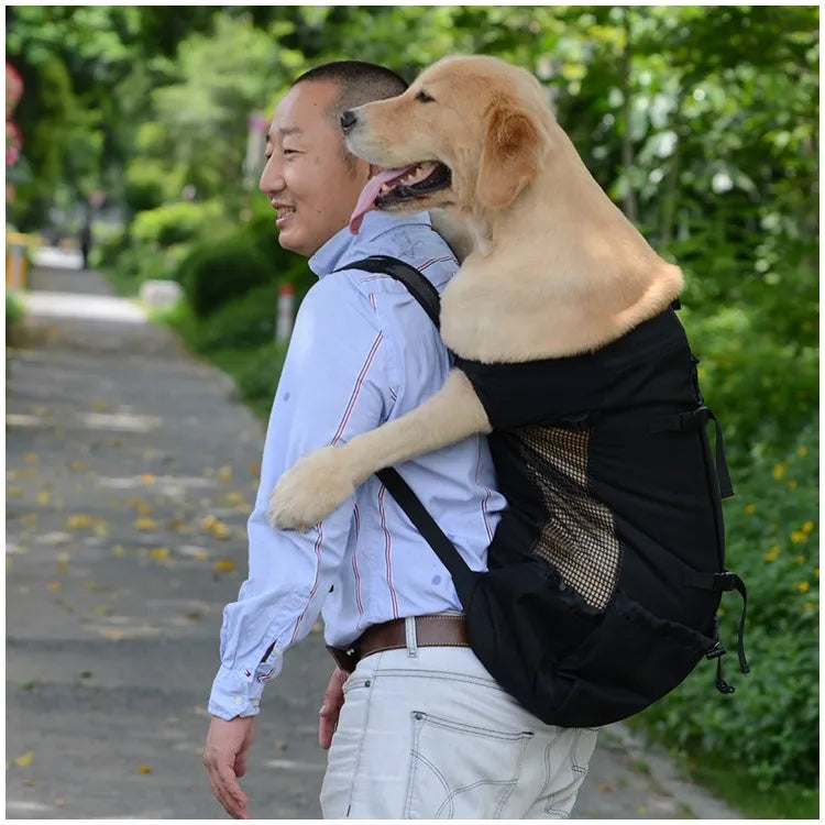 Mochila de transporte para perros, senderismo, viajes, ventilación al aire libre, malla deportiva para exteriores
