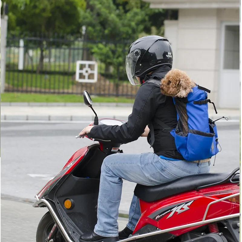 Mochila de transporte para perros, senderismo, viajes, ventilación al aire libre, malla deportiva para exteriores