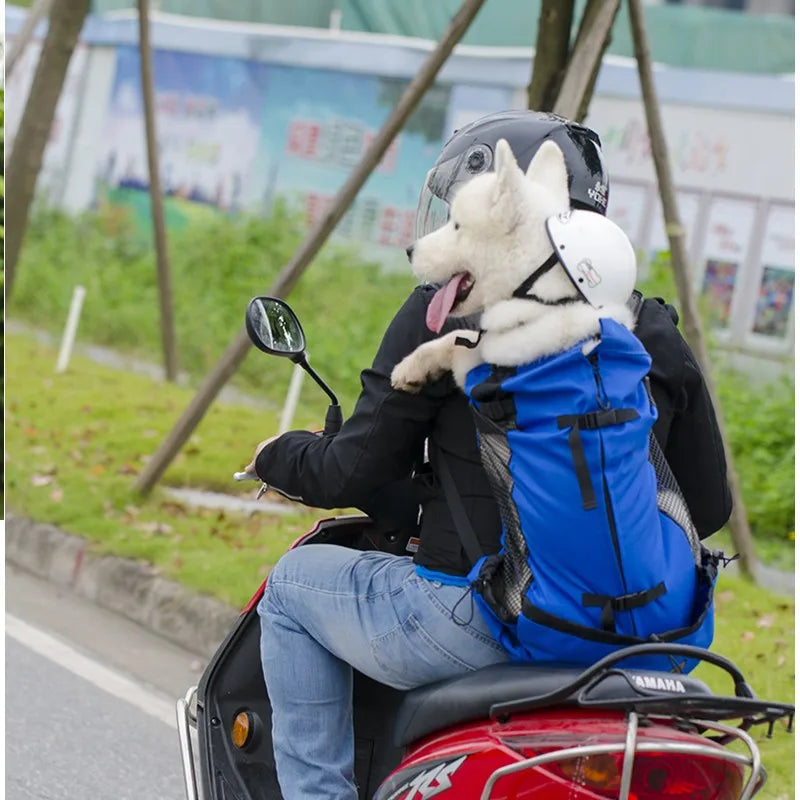 Mochila de transporte para perros, senderismo, viajes, ventilación al aire libre, malla deportiva para exteriores