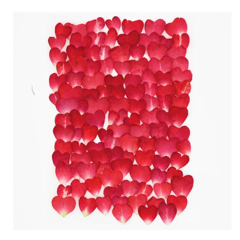 100pcs 1cm Heart Shape Pressed Dried Rose Flower Petals for Jewelry