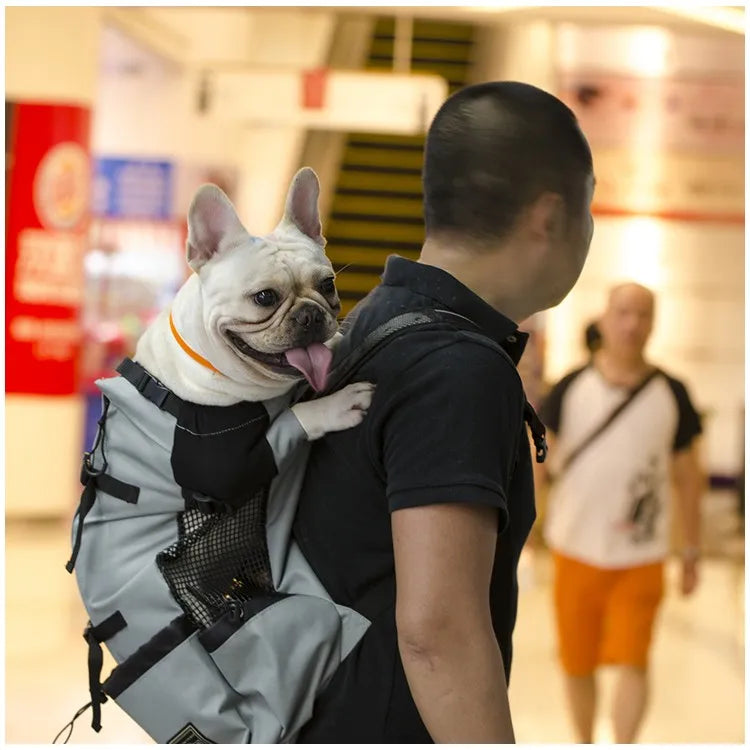 Mochila de transporte para perros, senderismo, viajes, ventilación al aire libre, malla deportiva para exteriores