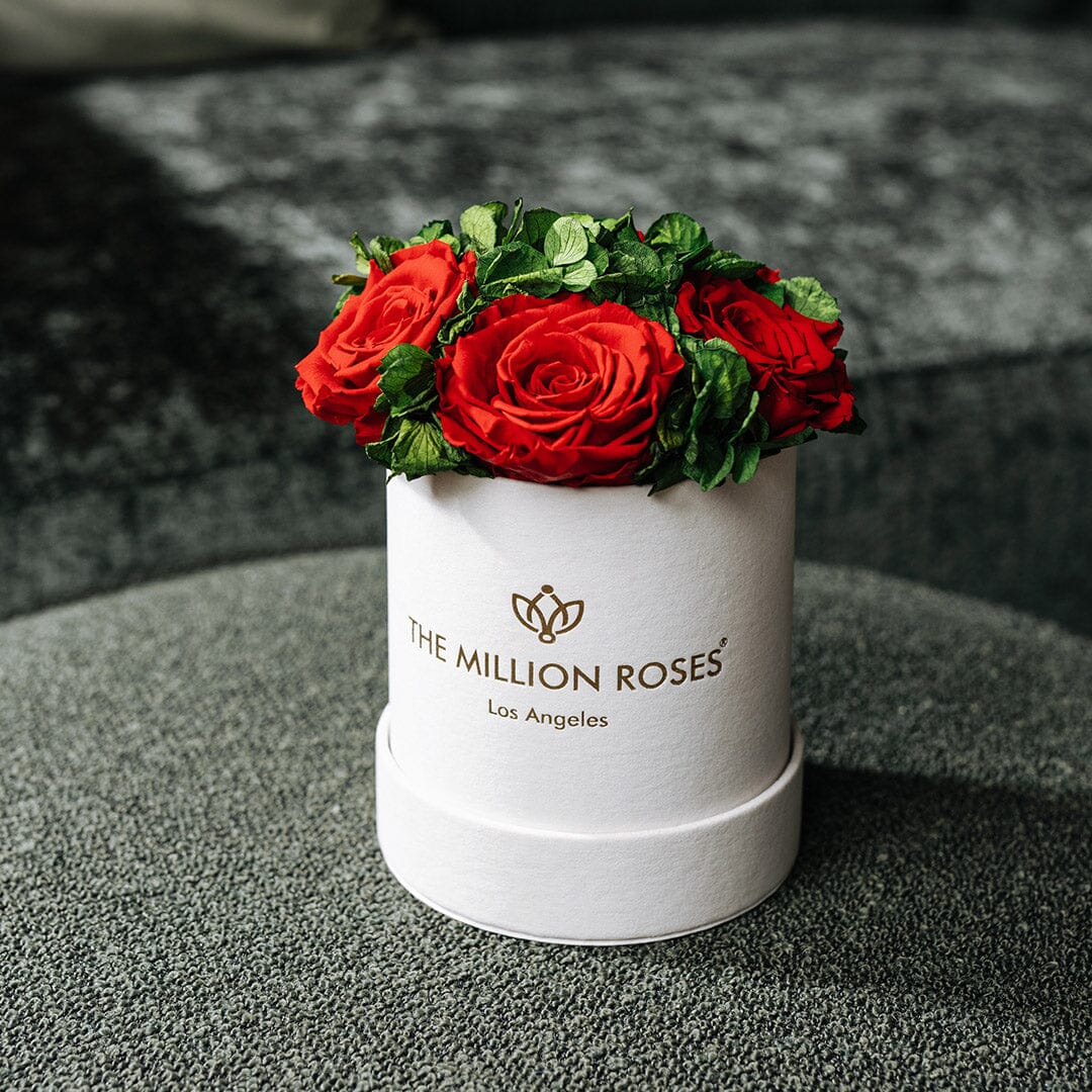 Caja de Jardín Básica de Gamuza Beige | Rosas Rojas