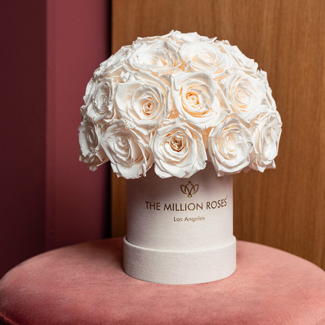 Caja Superdome de gamuza beige básica | Rosas blancas