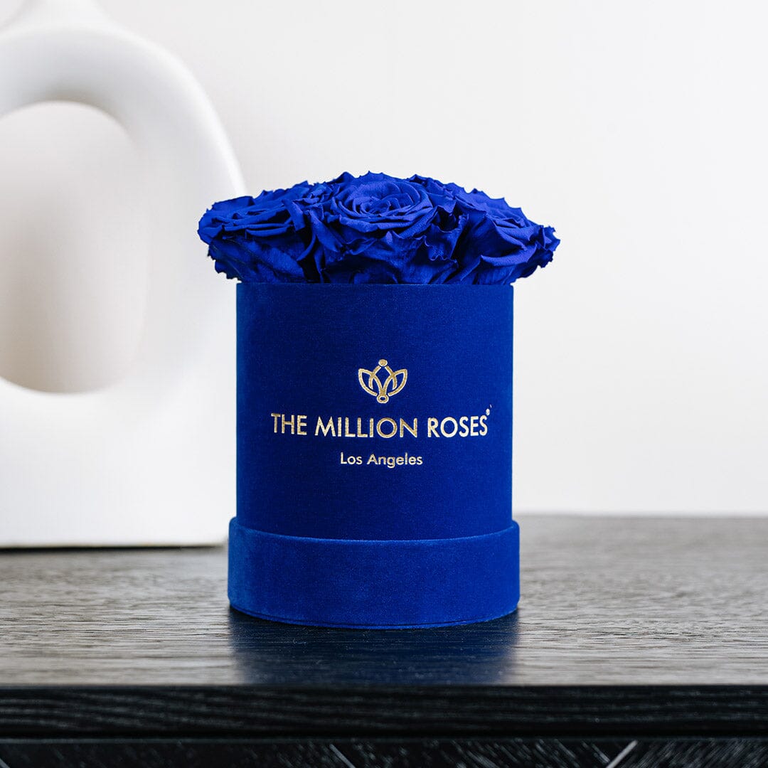 Caja Básica de Gamuza Azul Real | Rosas Azul Real