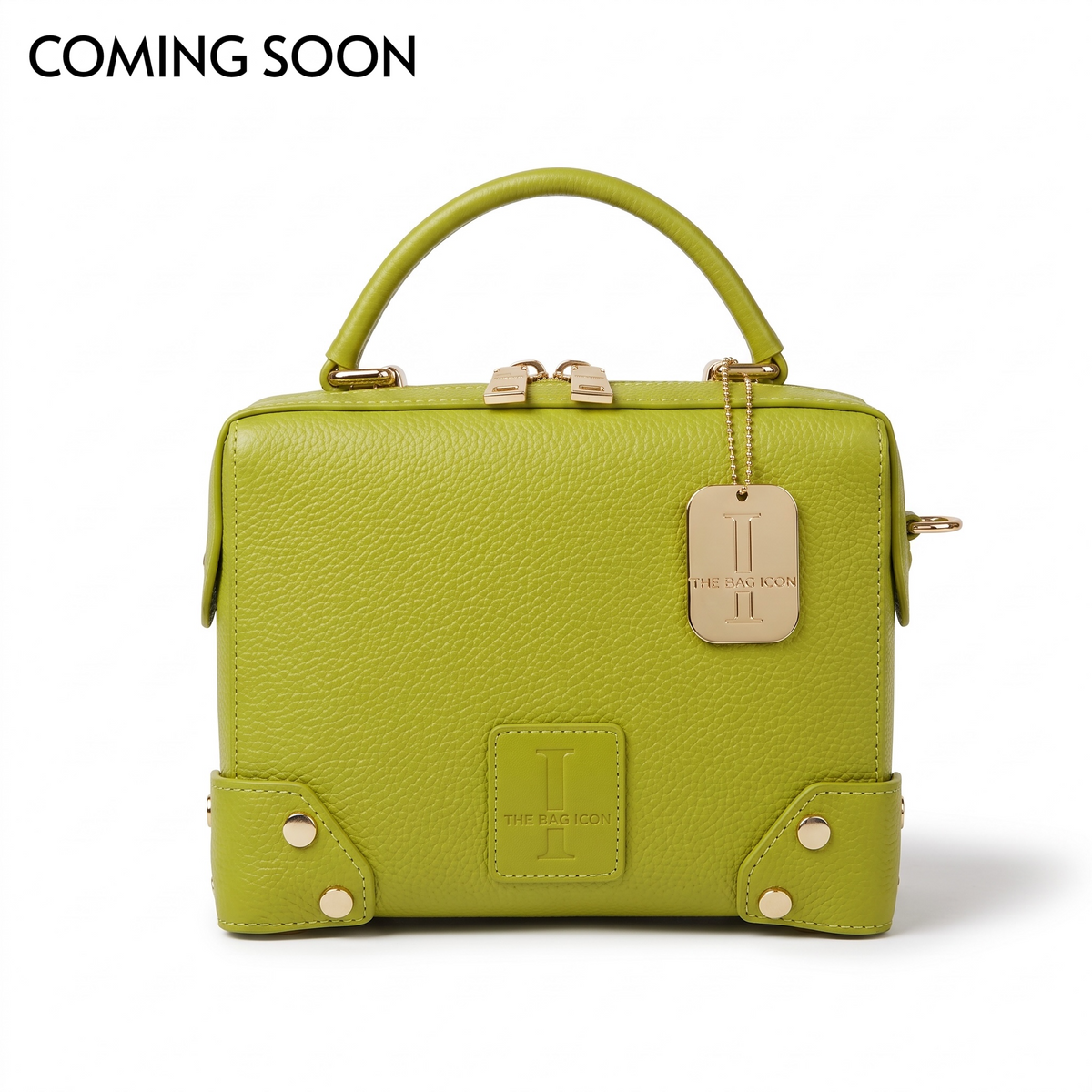 THE PETITE GRANDMERE TRUNK BAG