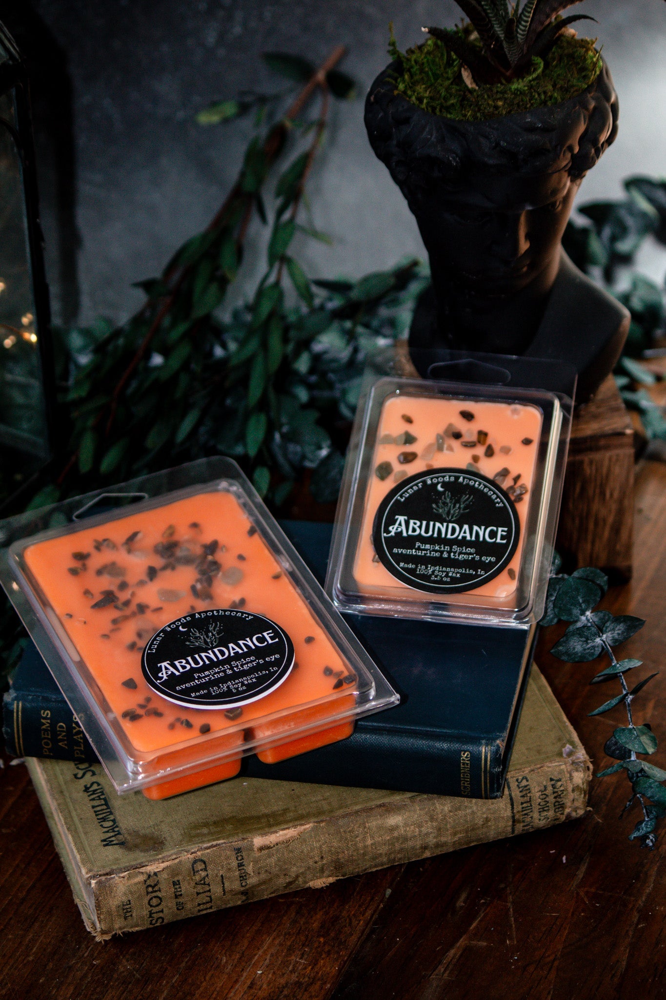 Abundancia — Ceras de bruja
