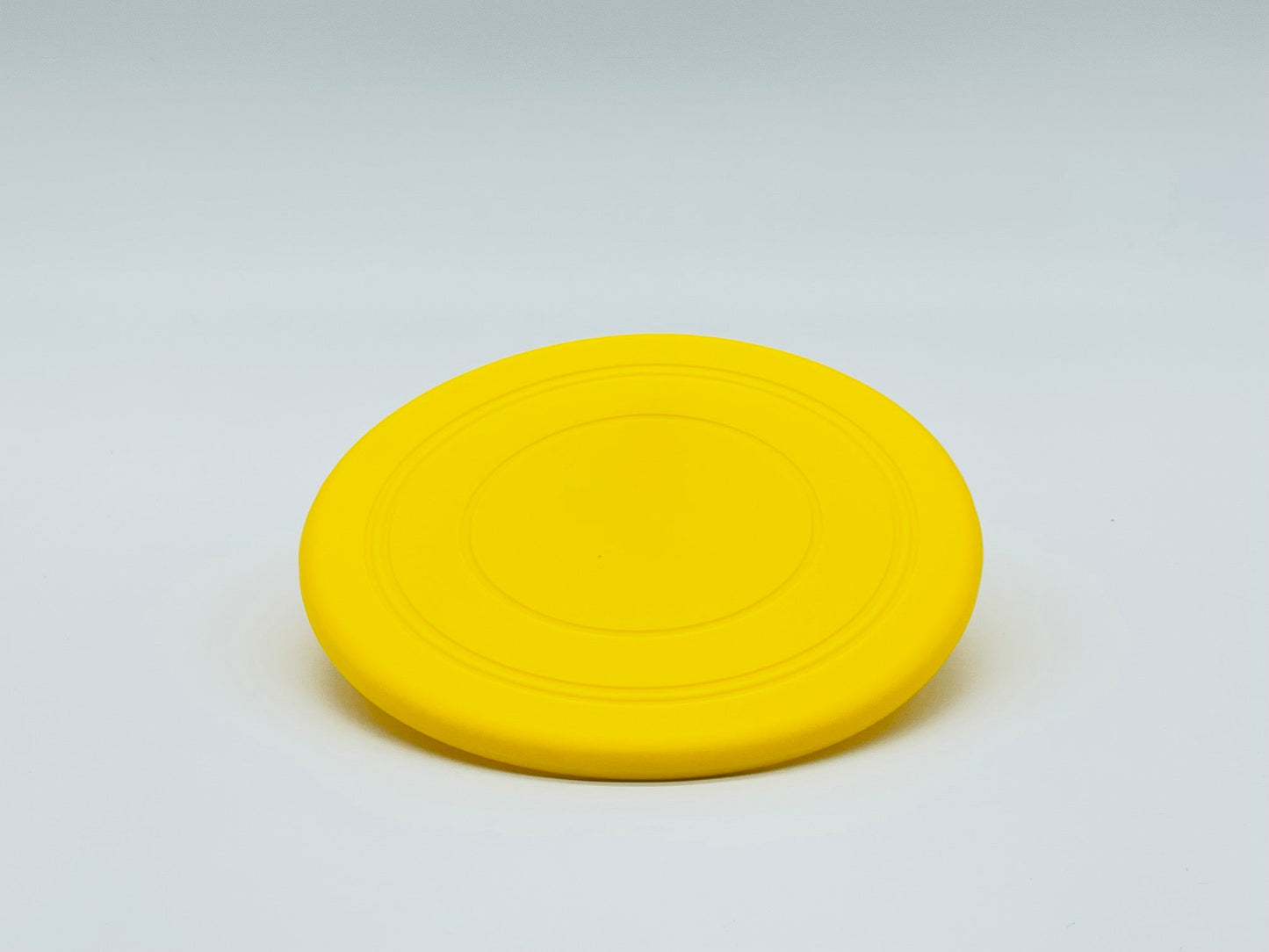 Fetch Me Frisbee