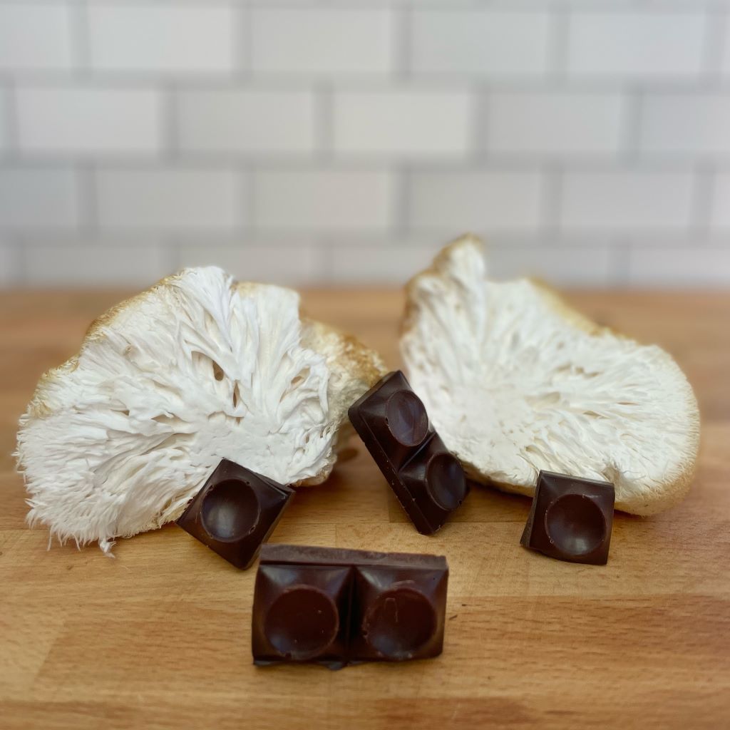 Pasta de Cacao Ceremonial Forest Blend™ con 6 Hongos Funcionales