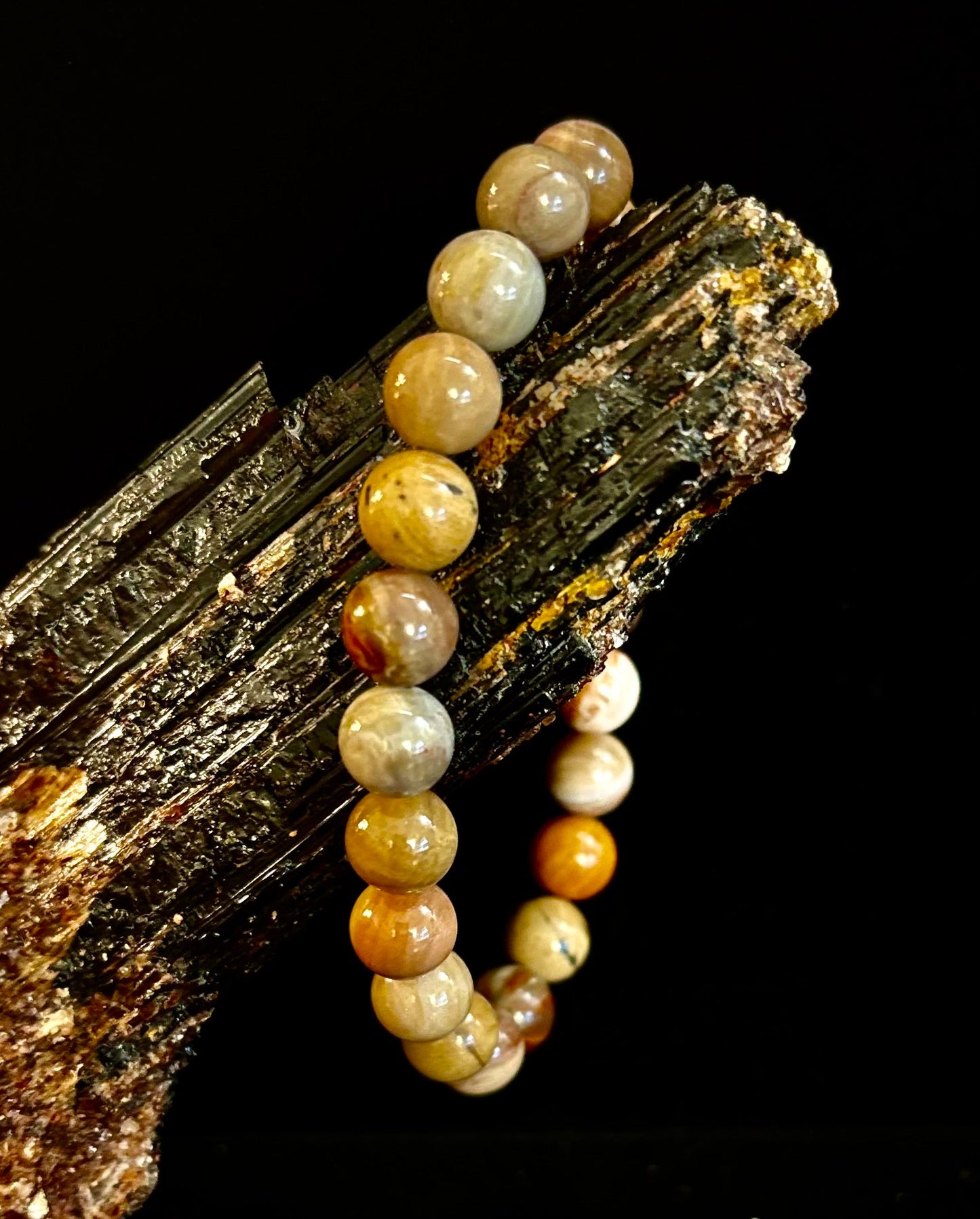 Pulsera de madera petrificada – Cuentas de 8 mm, muñecas medianas