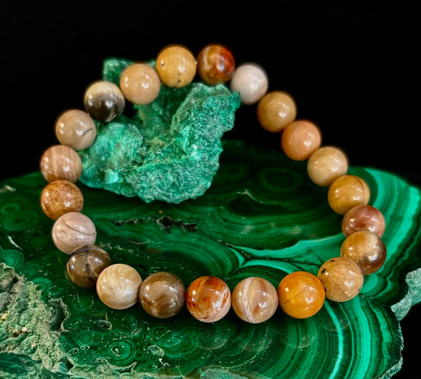 Pulsera de madera petrificada – Cuentas de 8 mm, muñecas medianas