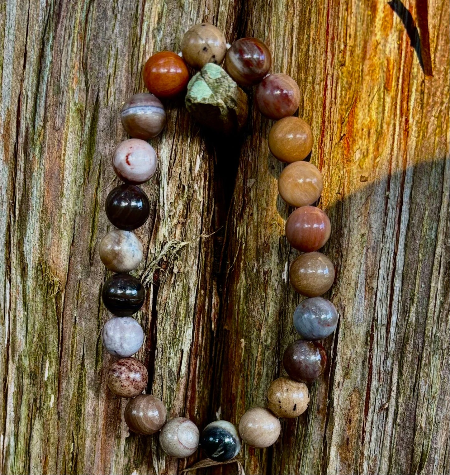 Pulsera de madera petrificada – Cuentas de 8 mm, muñecas medianas