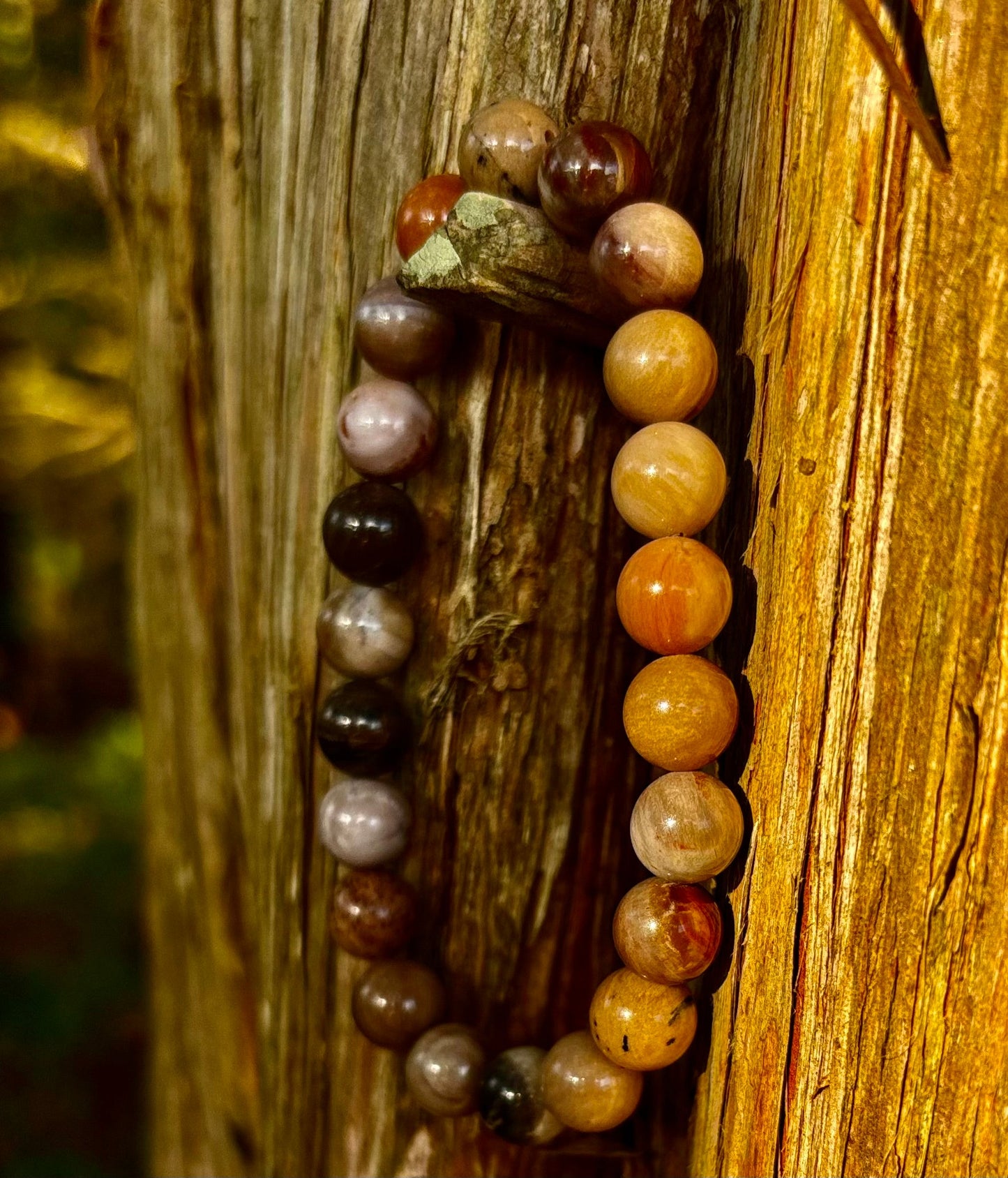 Pulsera de madera petrificada – Cuentas de 8 mm, muñecas medianas