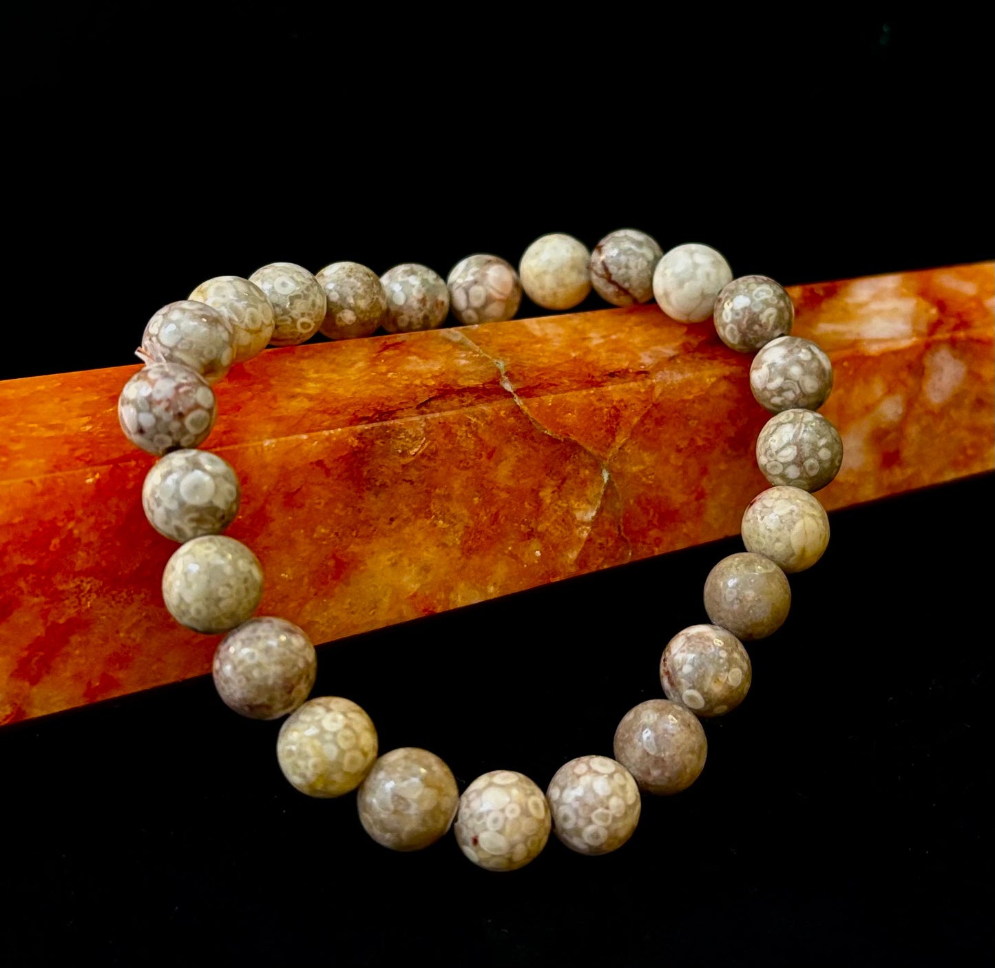 Pulsera de Coral Fósil – Piedra Natural de Enraizamiento para Estabilidad y Calma