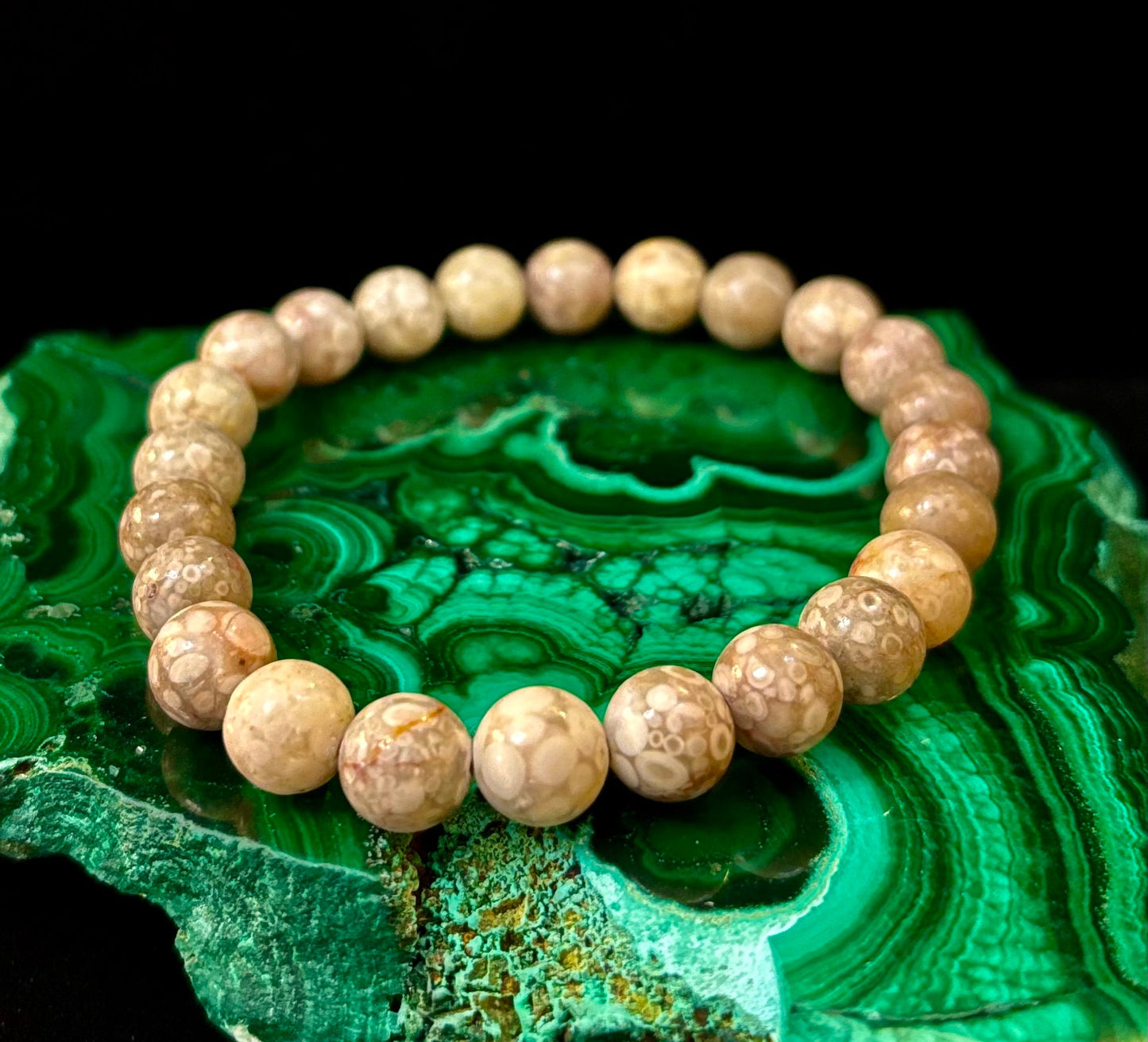 Pulsera de Coral Fósil – Piedra Natural de Enraizamiento para Estabilidad y Calma