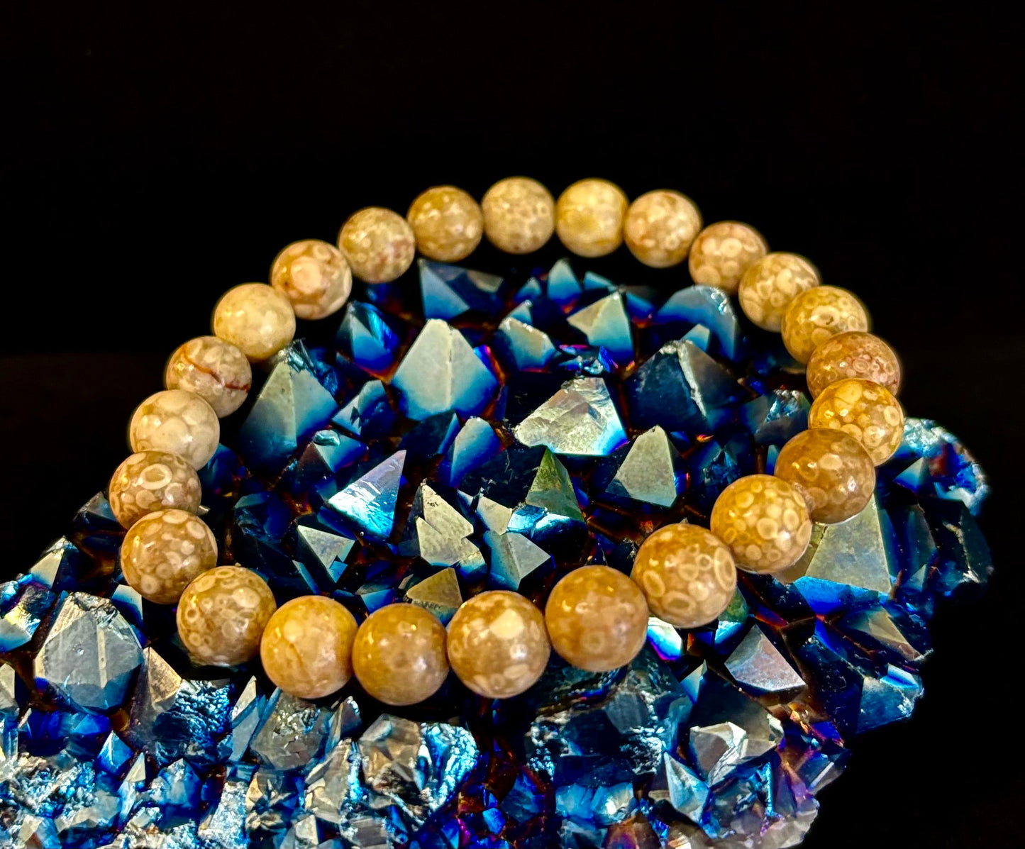 Pulsera de Coral Fósil – Piedra Natural de Enraizamiento para Estabilidad y Calma