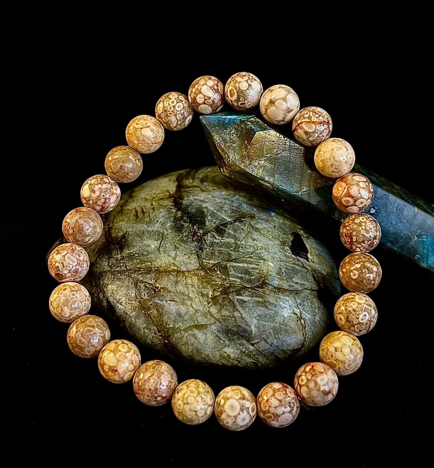 Pulsera de Coral Fósil – Piedra Natural de Enraizamiento para Estabilidad y Calma