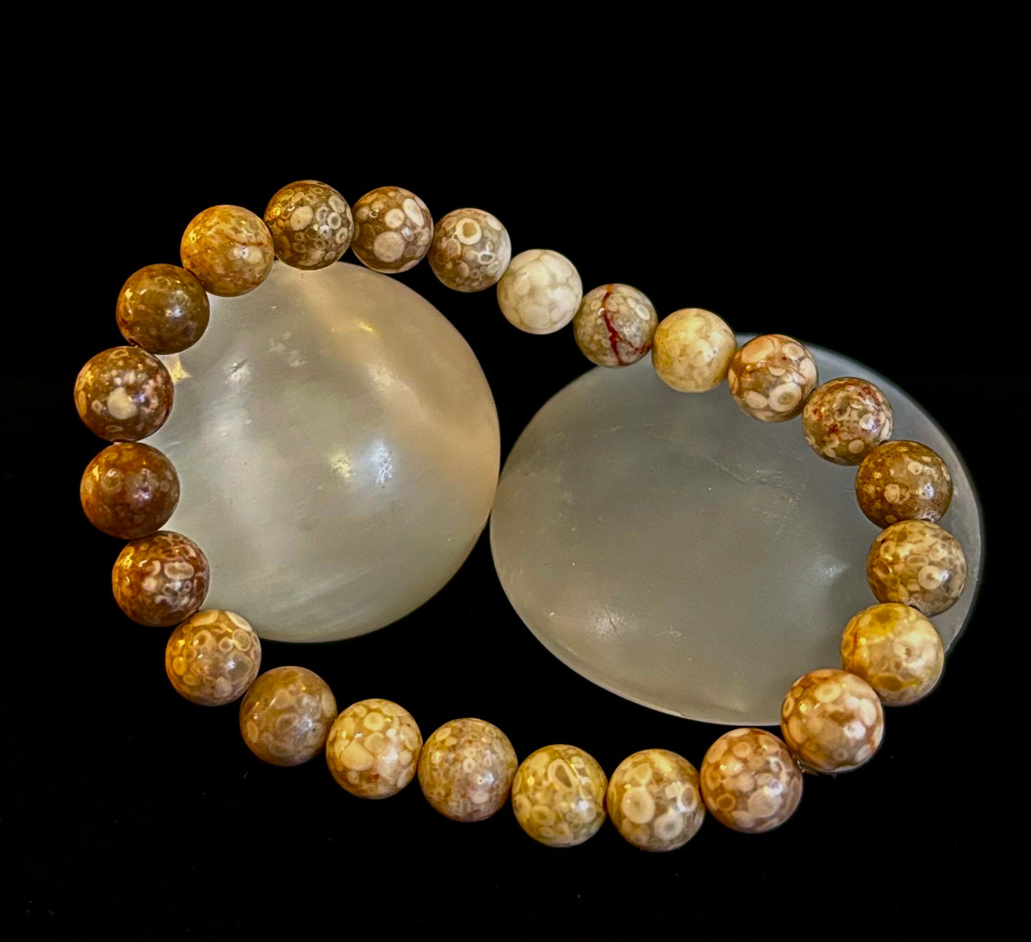 Pulsera de Coral Fósil – Piedra Natural de Enraizamiento para Estabilidad y Calma
