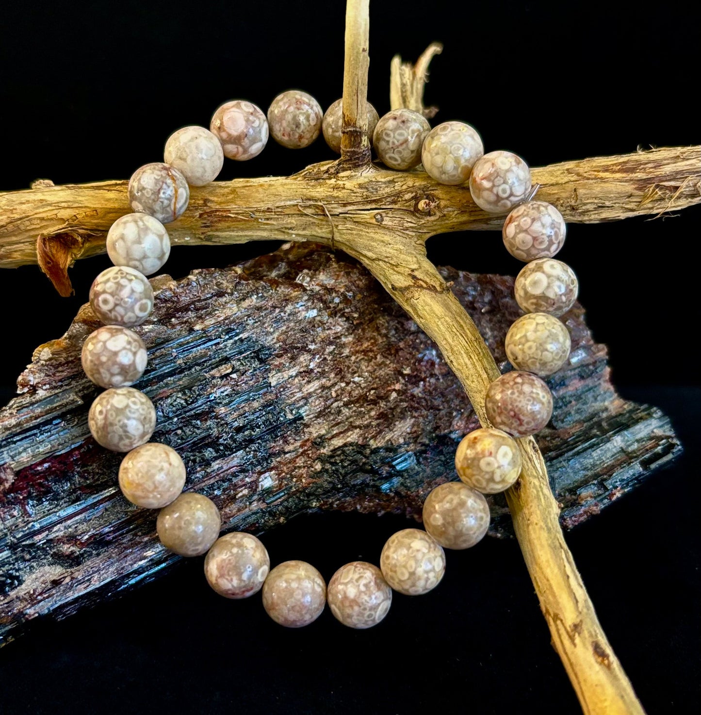 Pulsera de Coral Fósil – Piedra Natural de Enraizamiento para Estabilidad y Calma