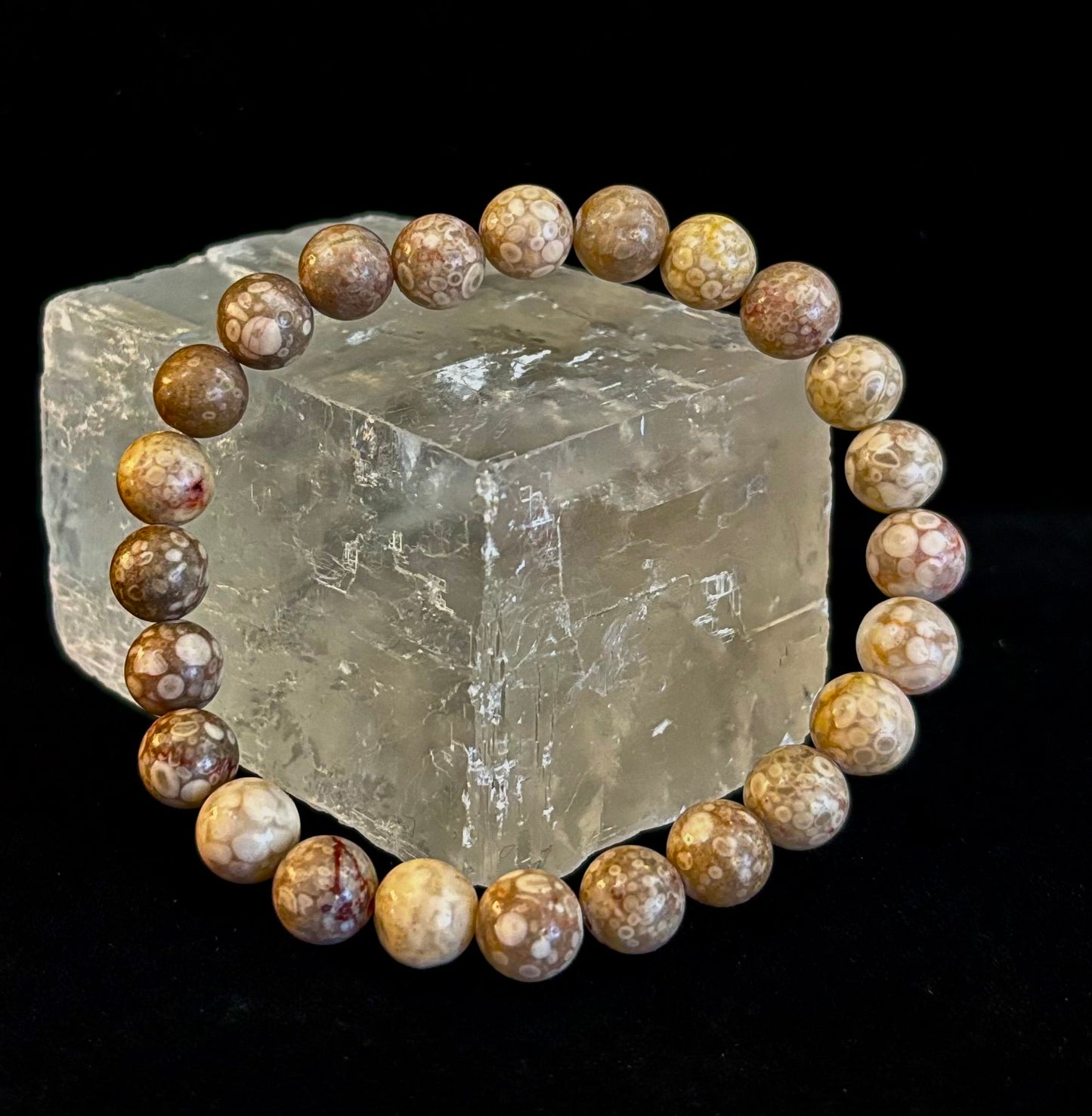 Pulsera de Coral Fósil – Piedra Natural de Enraizamiento para Estabilidad y Calma