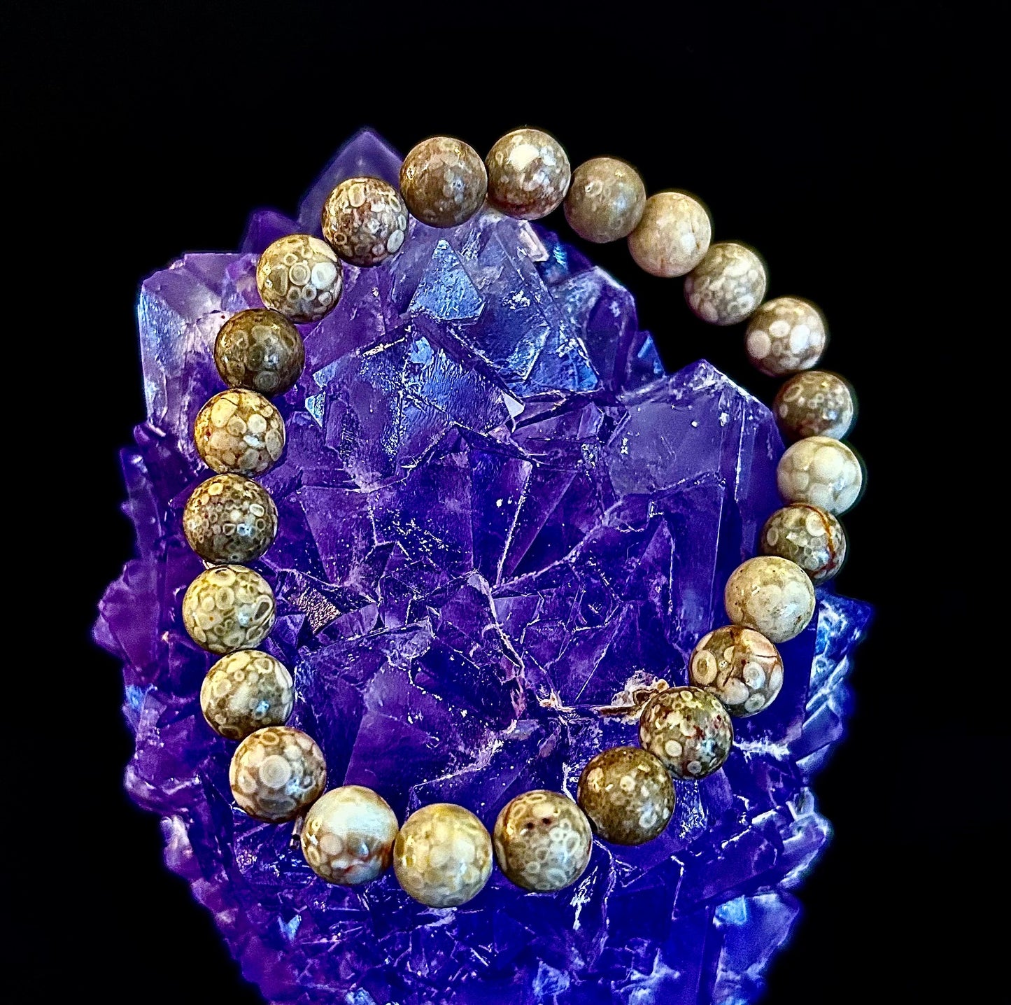 Pulsera de Coral Fósil – Piedra Natural de Enraizamiento para Estabilidad y Calma