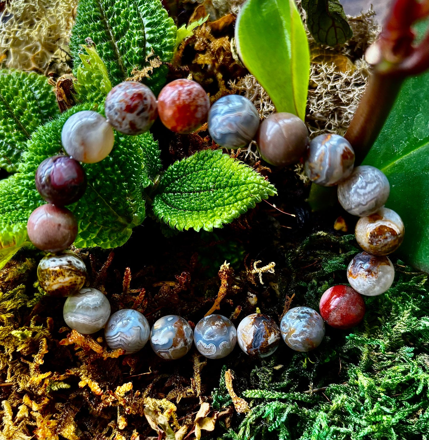 Ágata Mexicana Pura (16.5-18.4 cm para muñecas pequeñas a medianas)