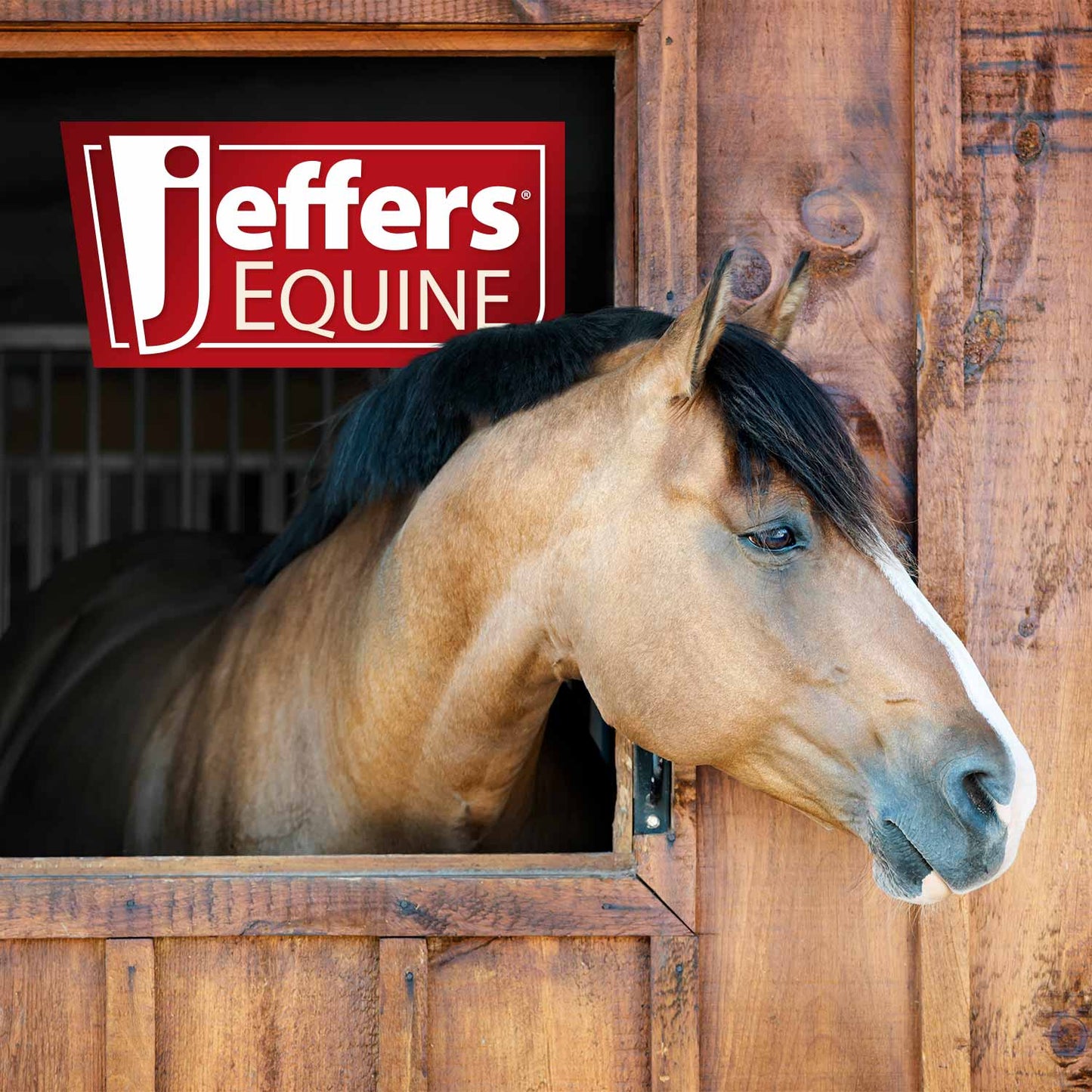 Tijeras de acero inoxidable para menudillo Jeffers Horse Grooming