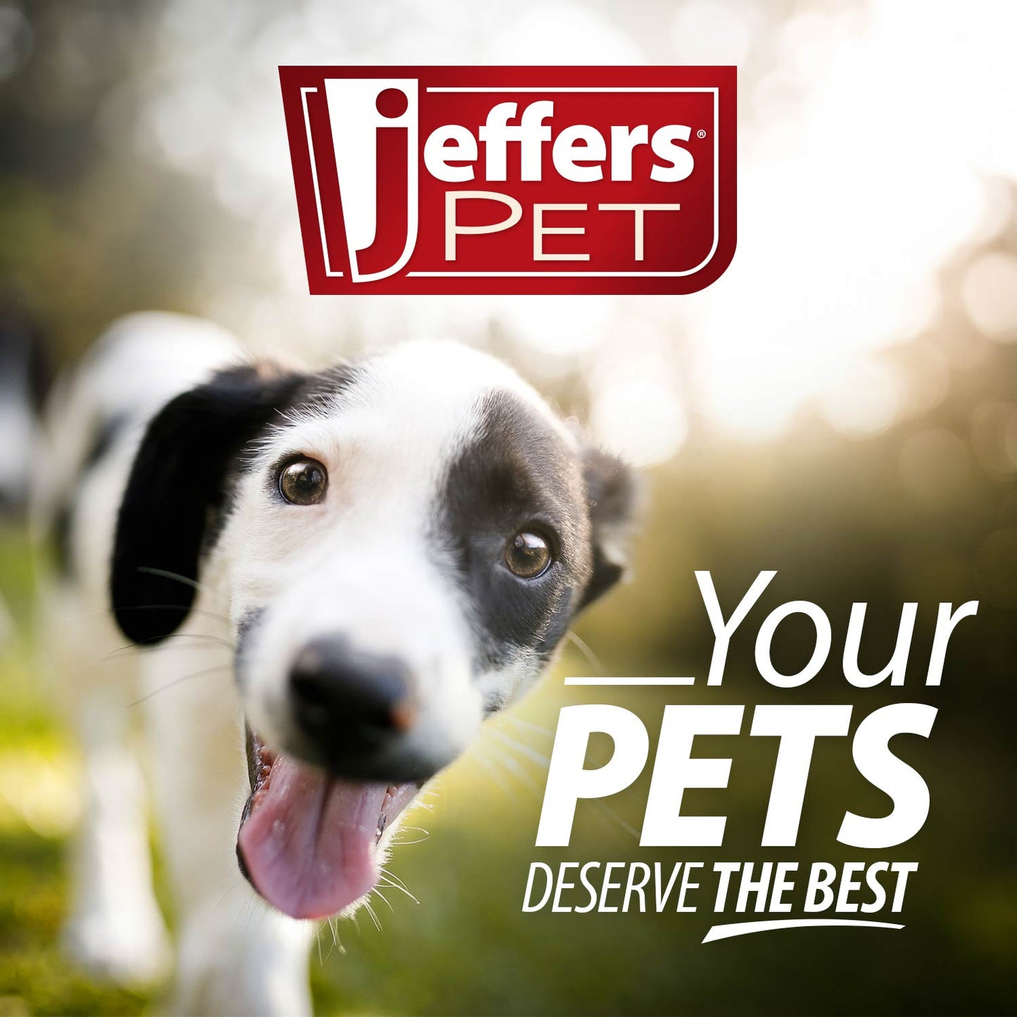 Juguete masticable dental Jeffers Cactus de caucho natural para perros para hábitos de masticación saludables