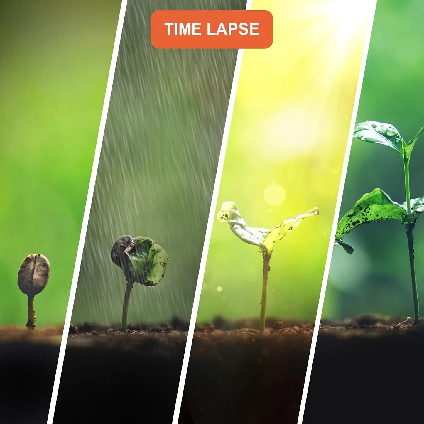 Cámara de Lapso de Tiempo Rexing TL1 1920×1080 Full HD