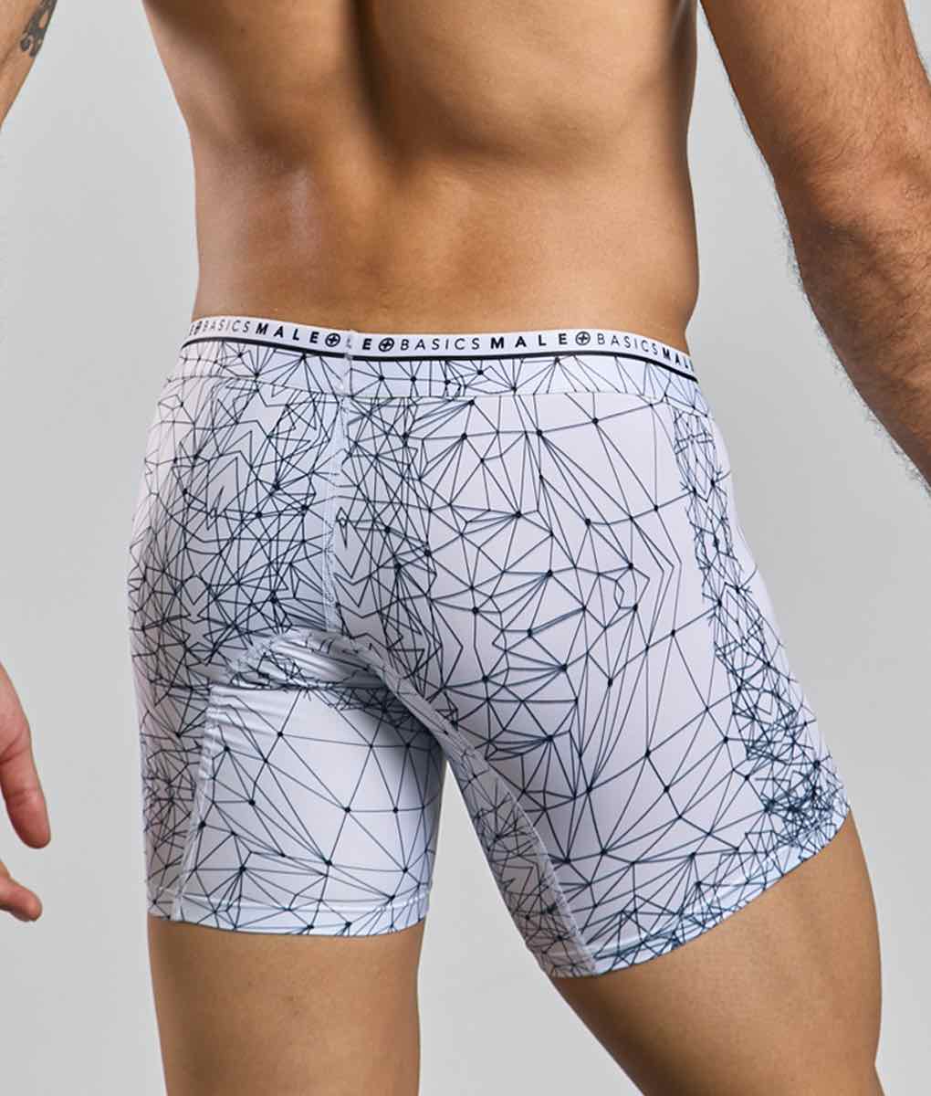 Malebasics New Hipster Boxer Brief Spider