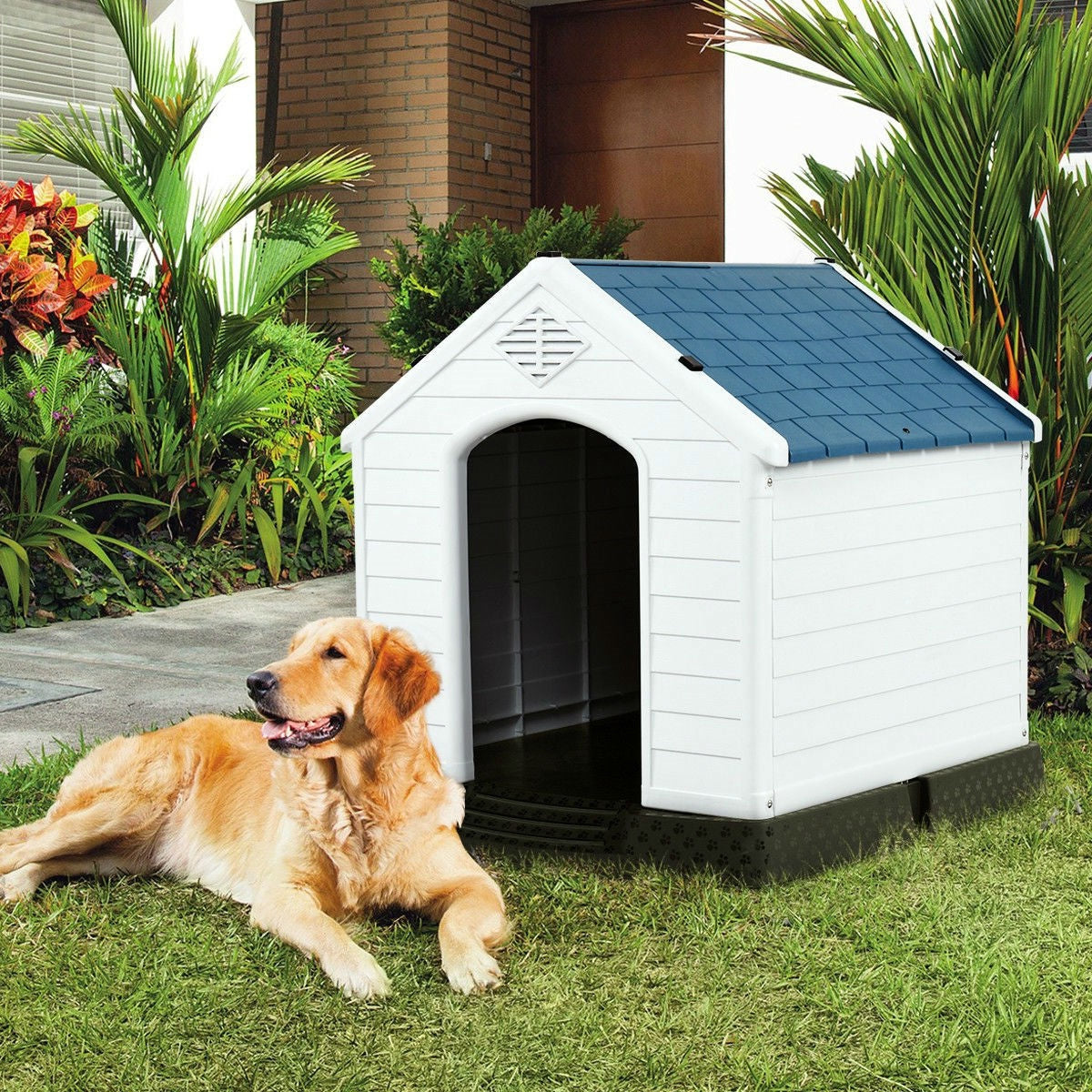 Casa de perro de plástico azul y blanco resistente de tamaño mediano para exteriores