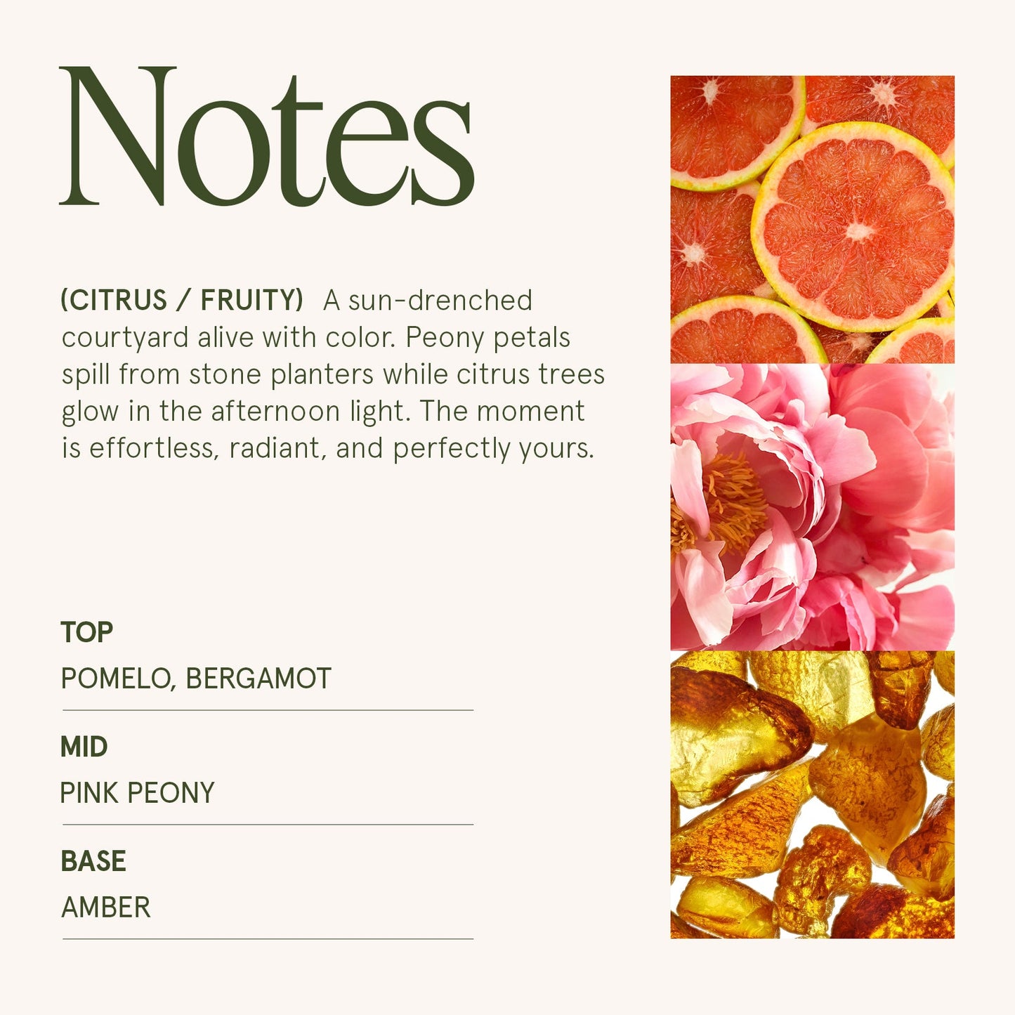 Maelyn - Citrine & Pink Peony 19oz Candle