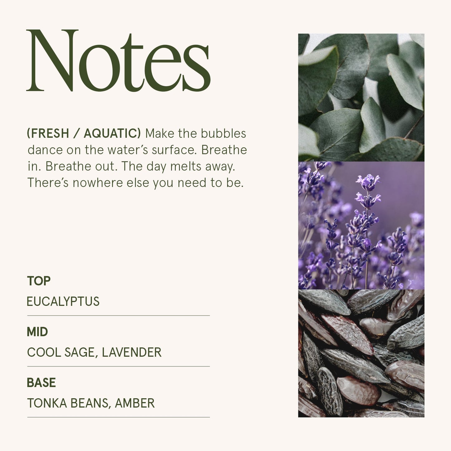 Maelyn - Eucalyptus & Alpine Sage 12oz Candle