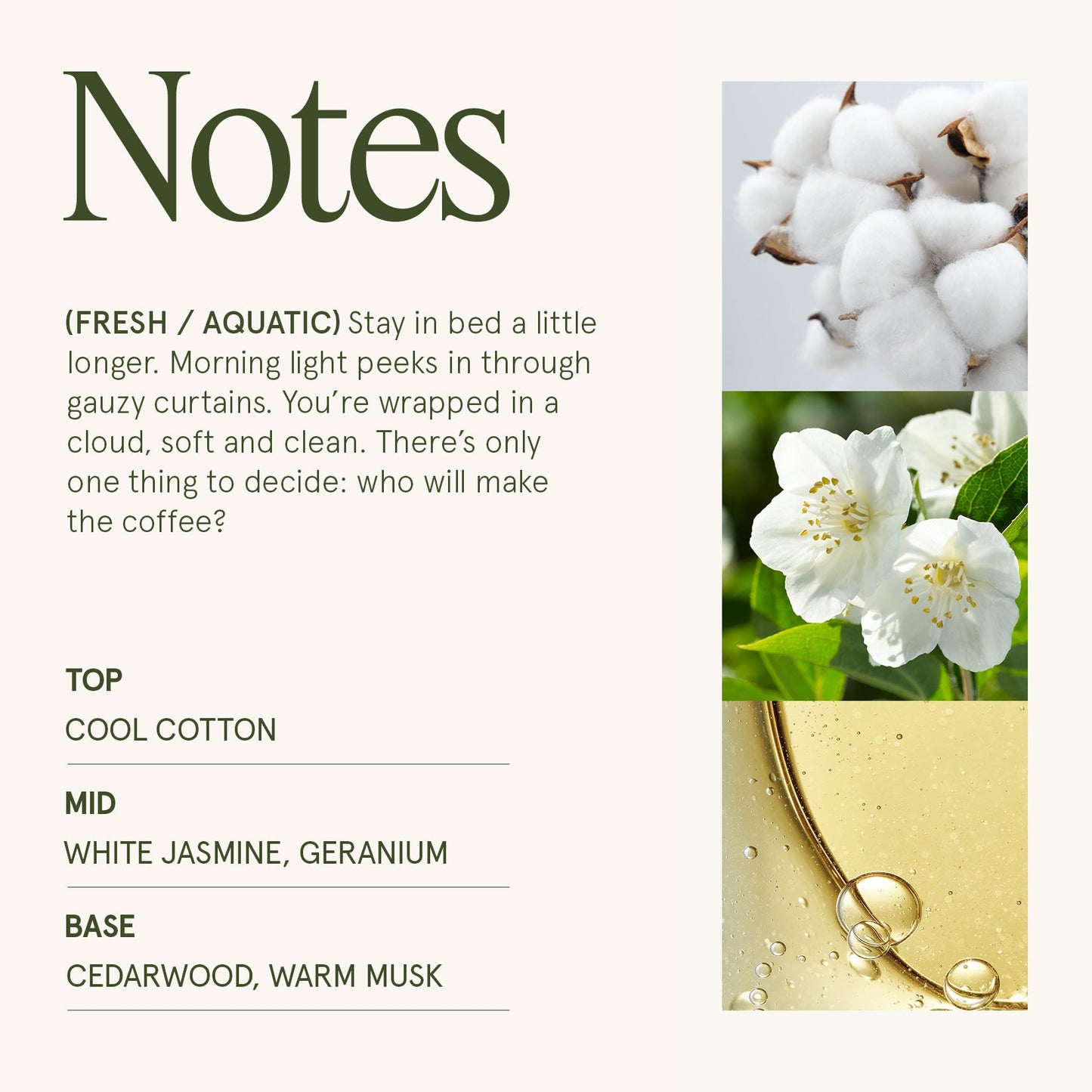 Maelyn - Linen Cotton Oasis 6oz Candle