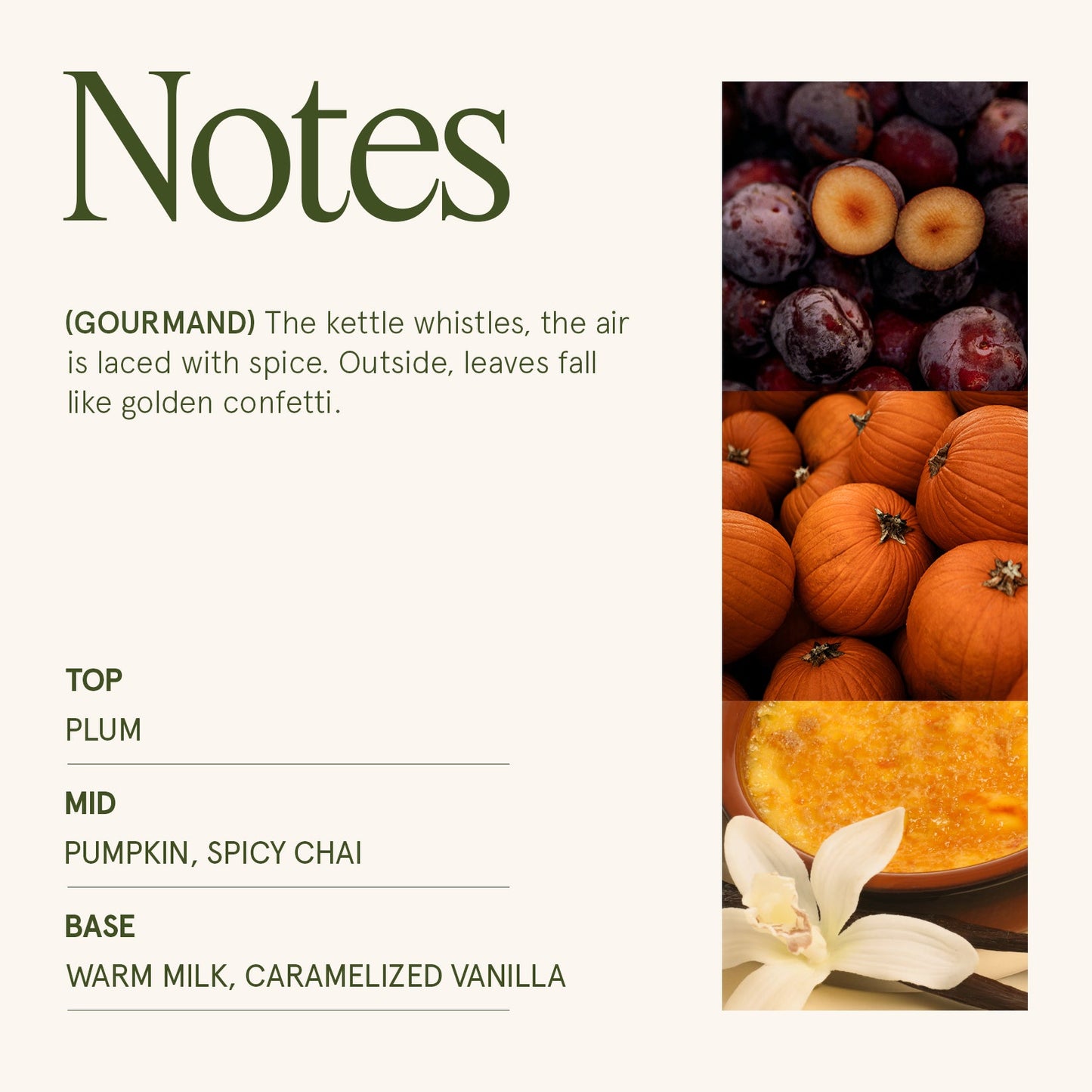 Maelyn - Pumpkin Chai 6oz Candle