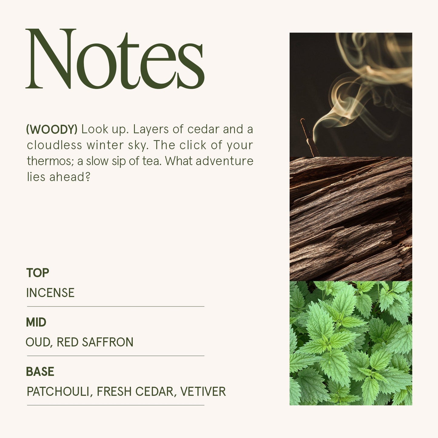 Maelyn - Saffron & Oud 12oz Candle