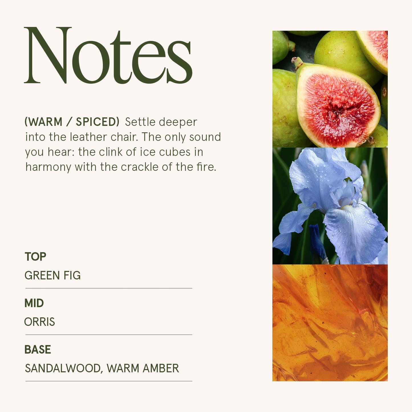 Maelyn - Santal Himalayen 19oz Candle