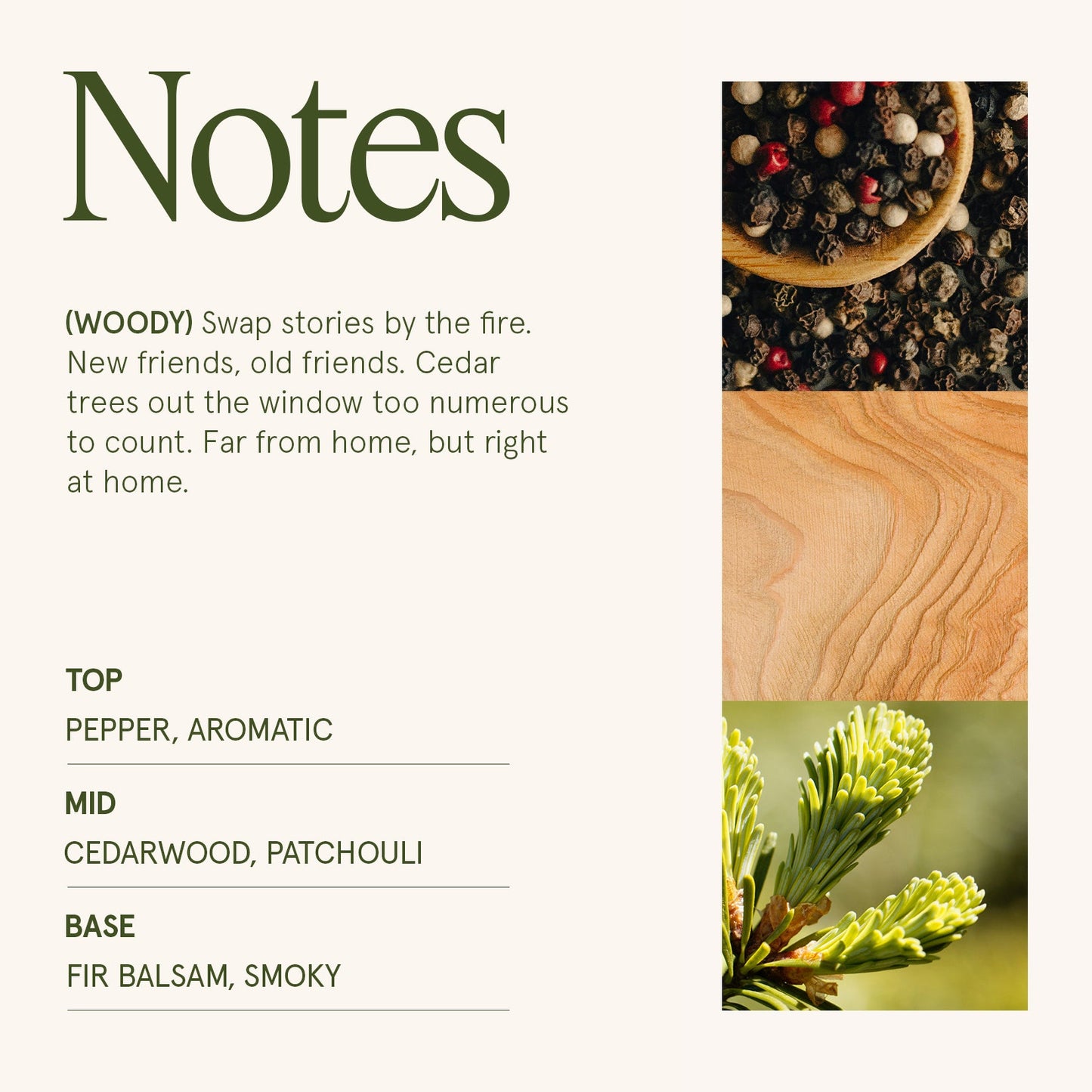 Maelyn - Starlit Golden Fir 6oz Candle