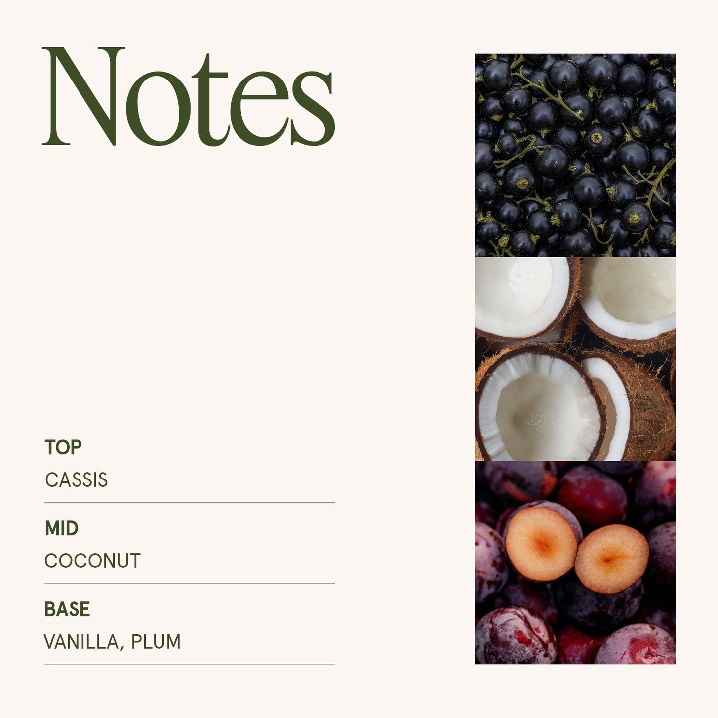 Maelyn - Vanilla Plum Sky 12oz Candle