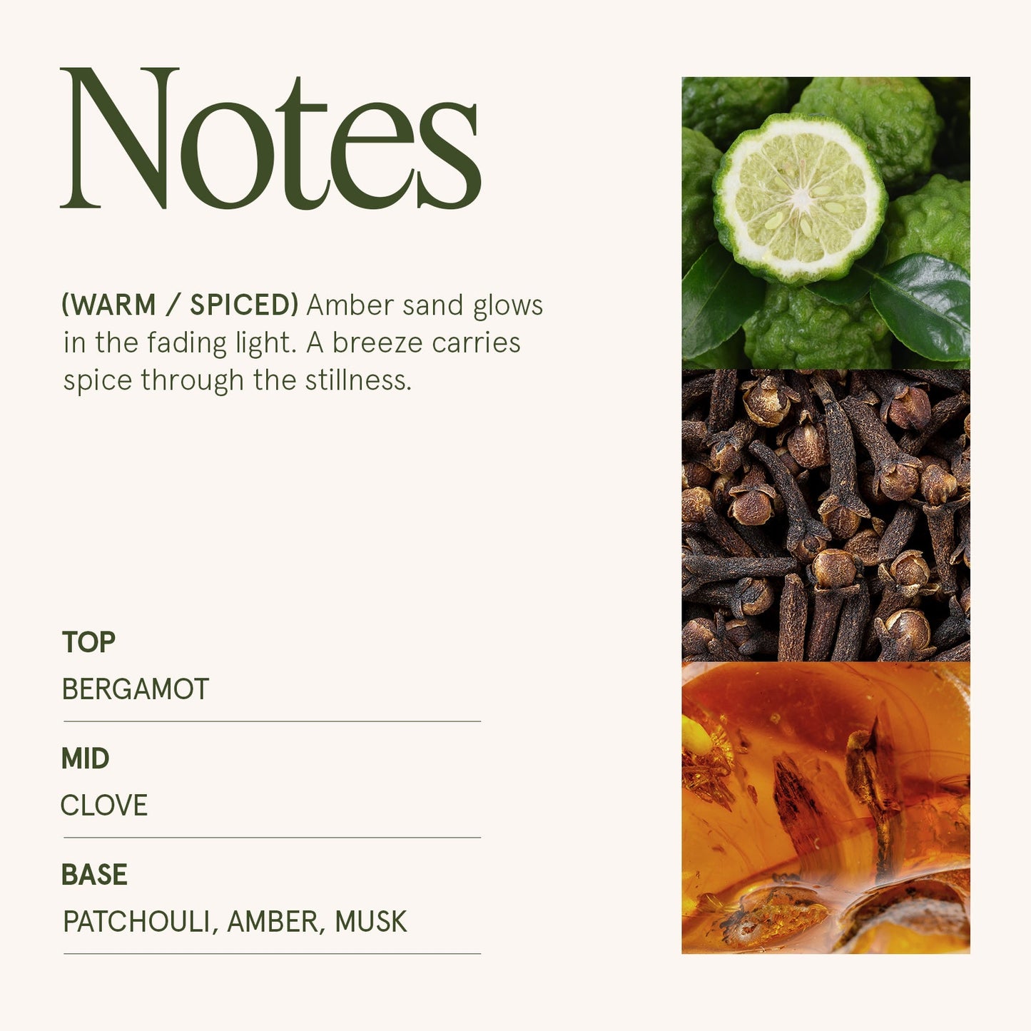 Marvella - Sahara Ambre 10oz Candle