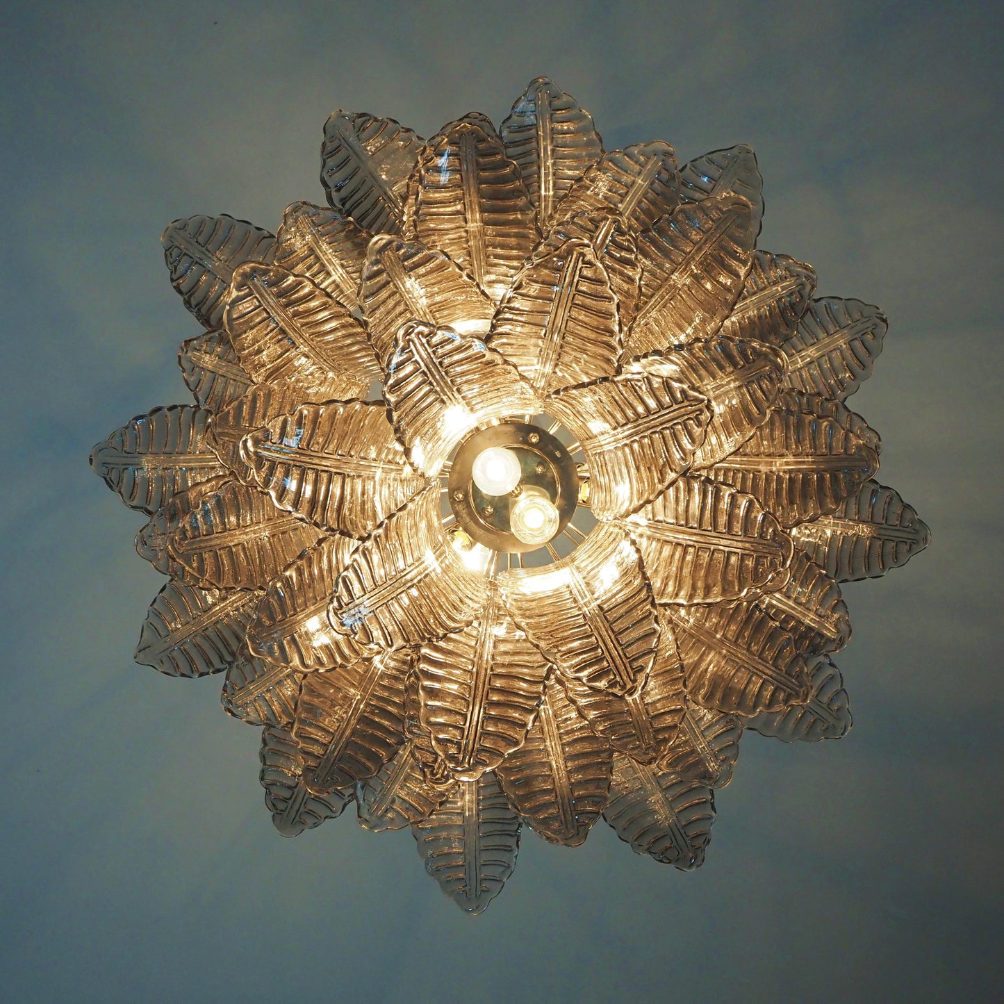 Lámpara de araña de cristal Murano Smoked Ferns