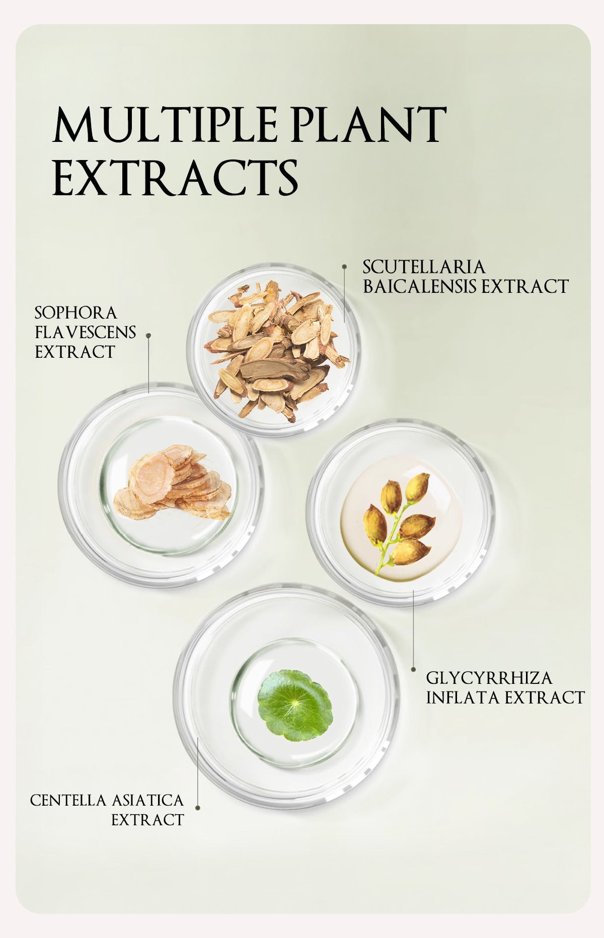 Herbaceous Exfoliating Peeling Gel Facial Scrub Moisturizing Nourishing Repair Scrubs Face Cream Beauty Skin Care