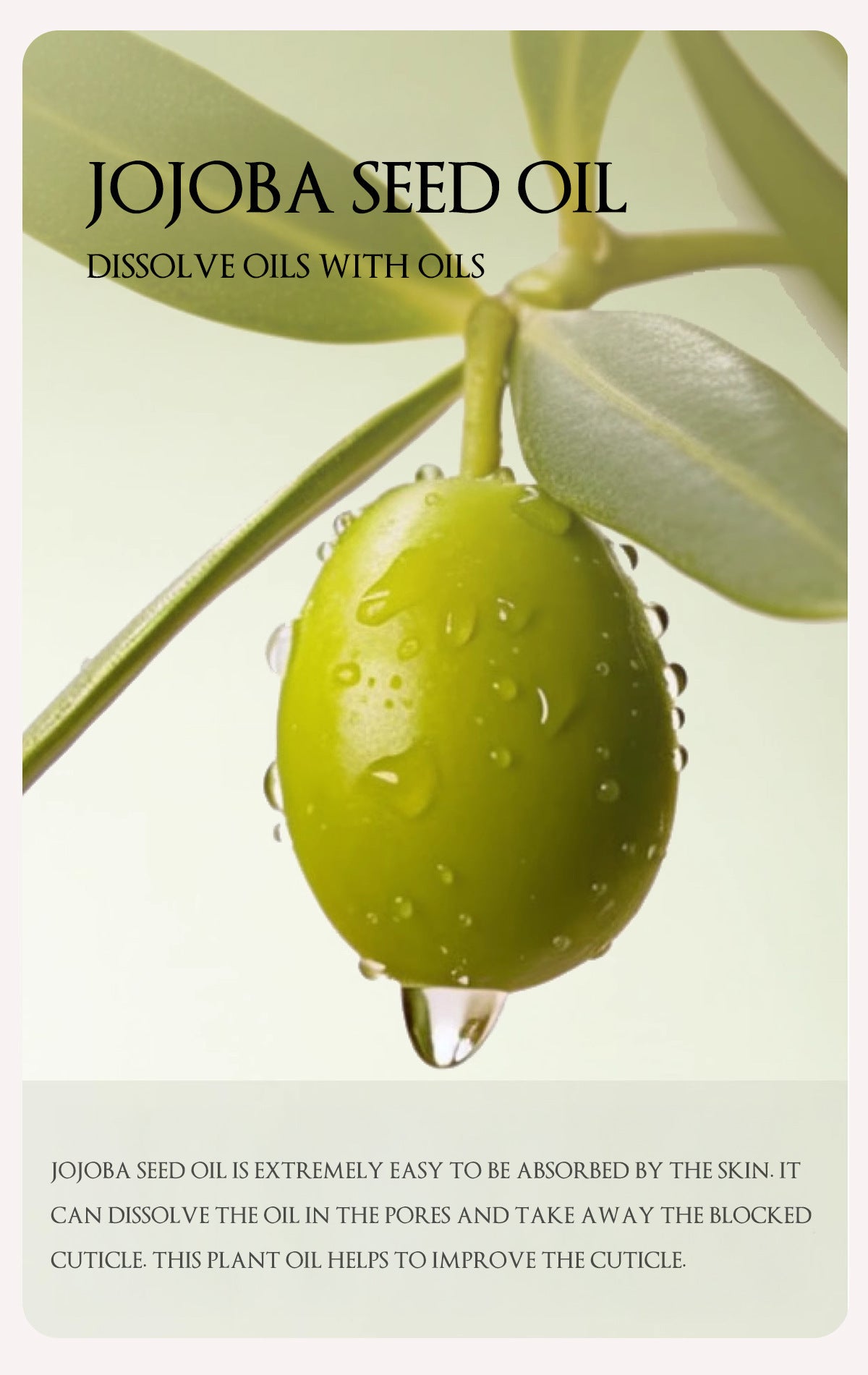 Herbaceous Exfoliating Peeling Gel Facial Scrub Moisturizing Nourishing Repair Scrubs Face Cream Beauty Skin Care