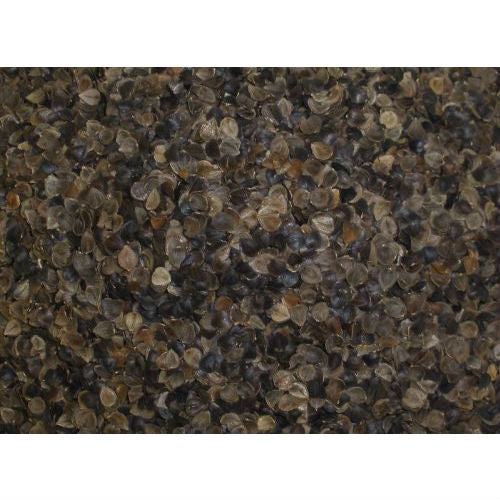 Almohada de trigo sarraceno orgánico japonesa de 14 x 20 pulgadas