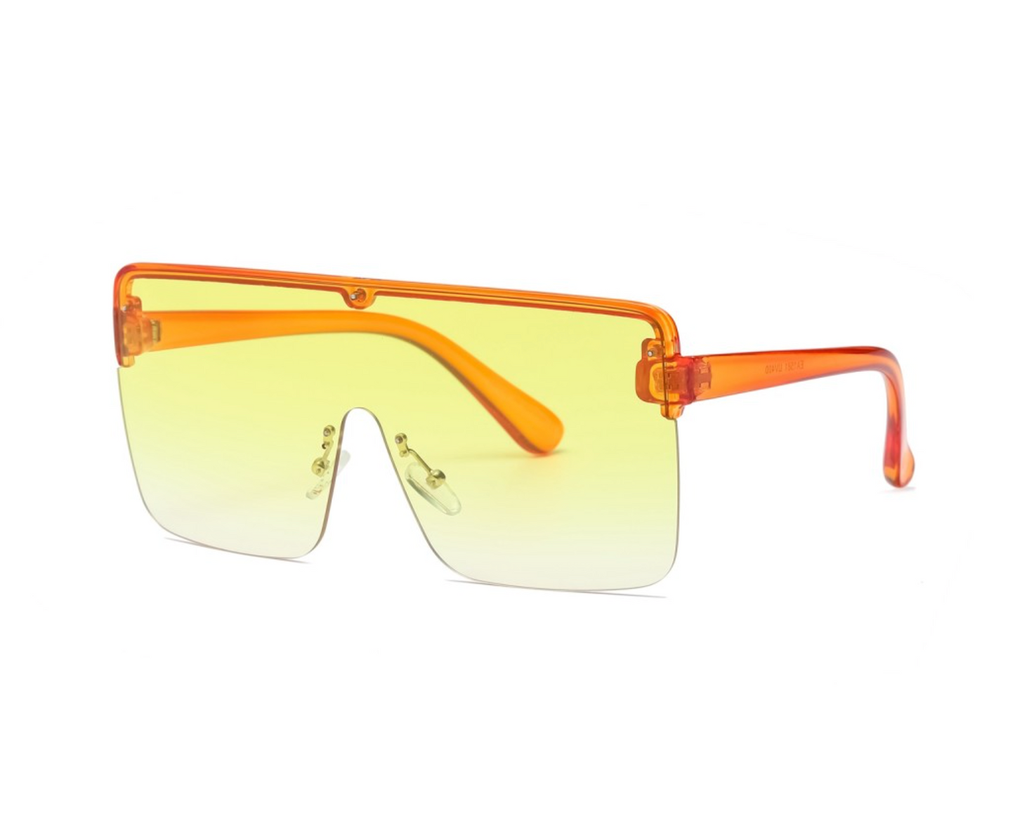 Gafas de sol: Modelo 1581
