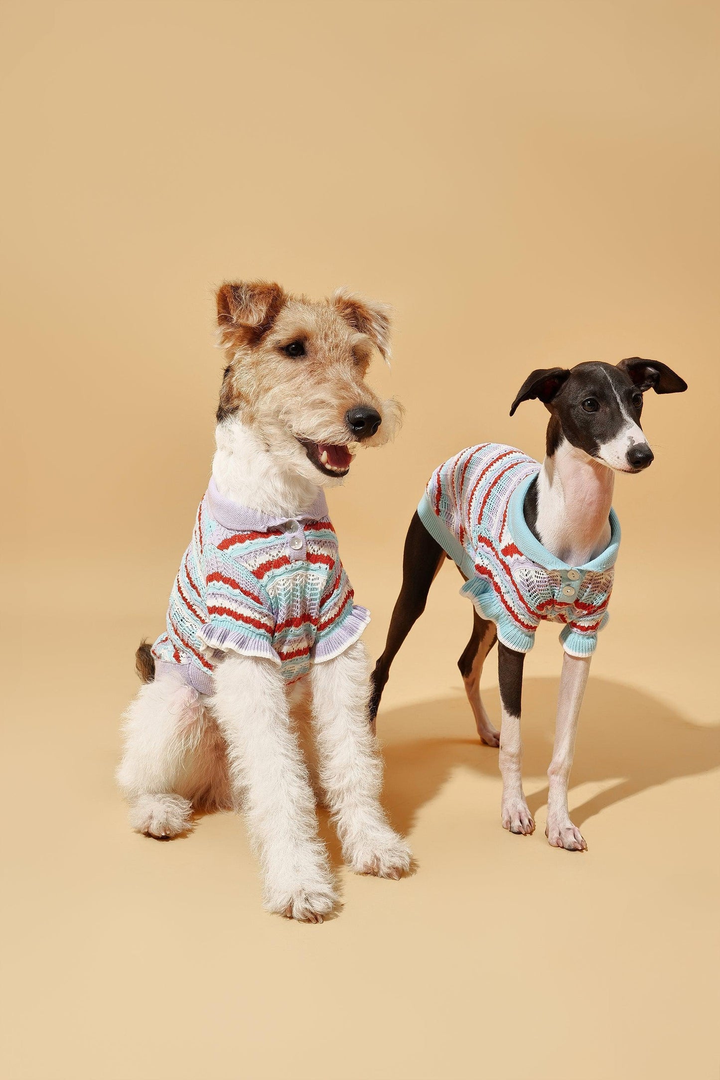 Pet & Me Spring Summer Ocean Blue Ruffle Crochet Short Sleeve Polo Shirt