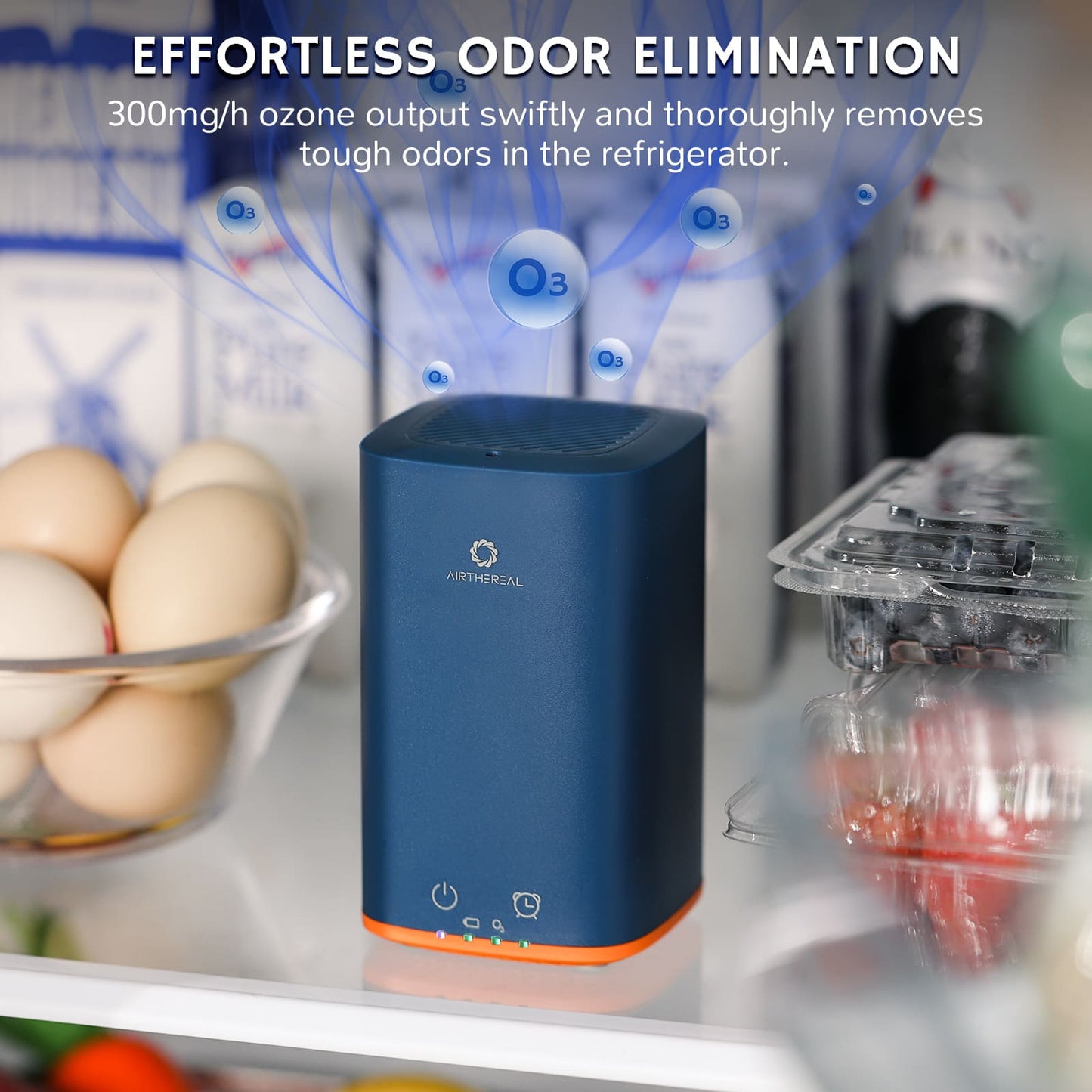 PA300-GO Portable Ozone Generator