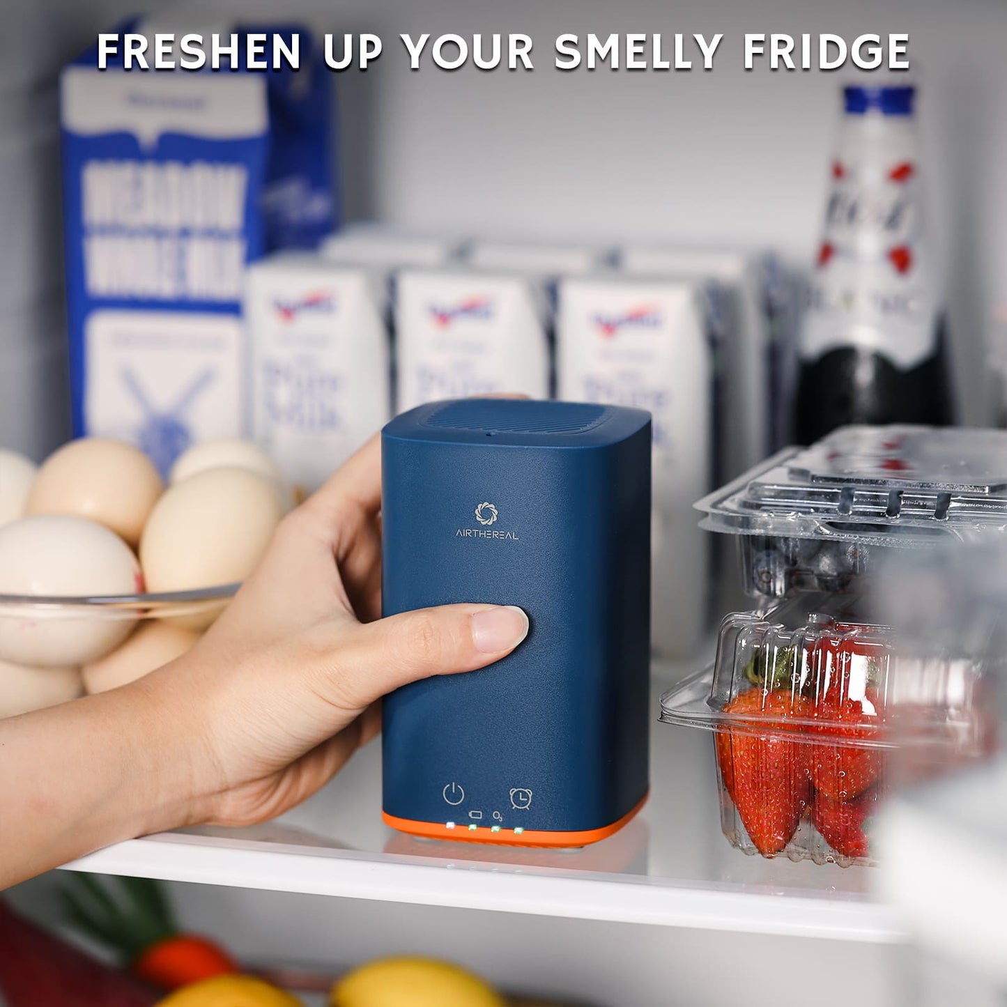 PA300-GO Portable Ozone Generator