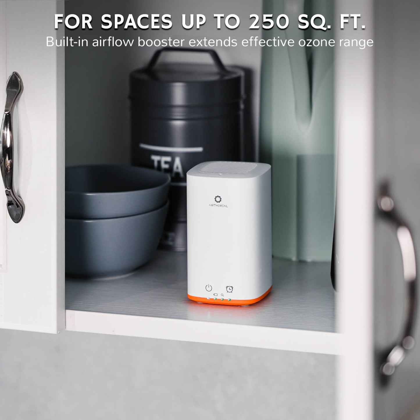 PA300-GO Portable Ozone Generator