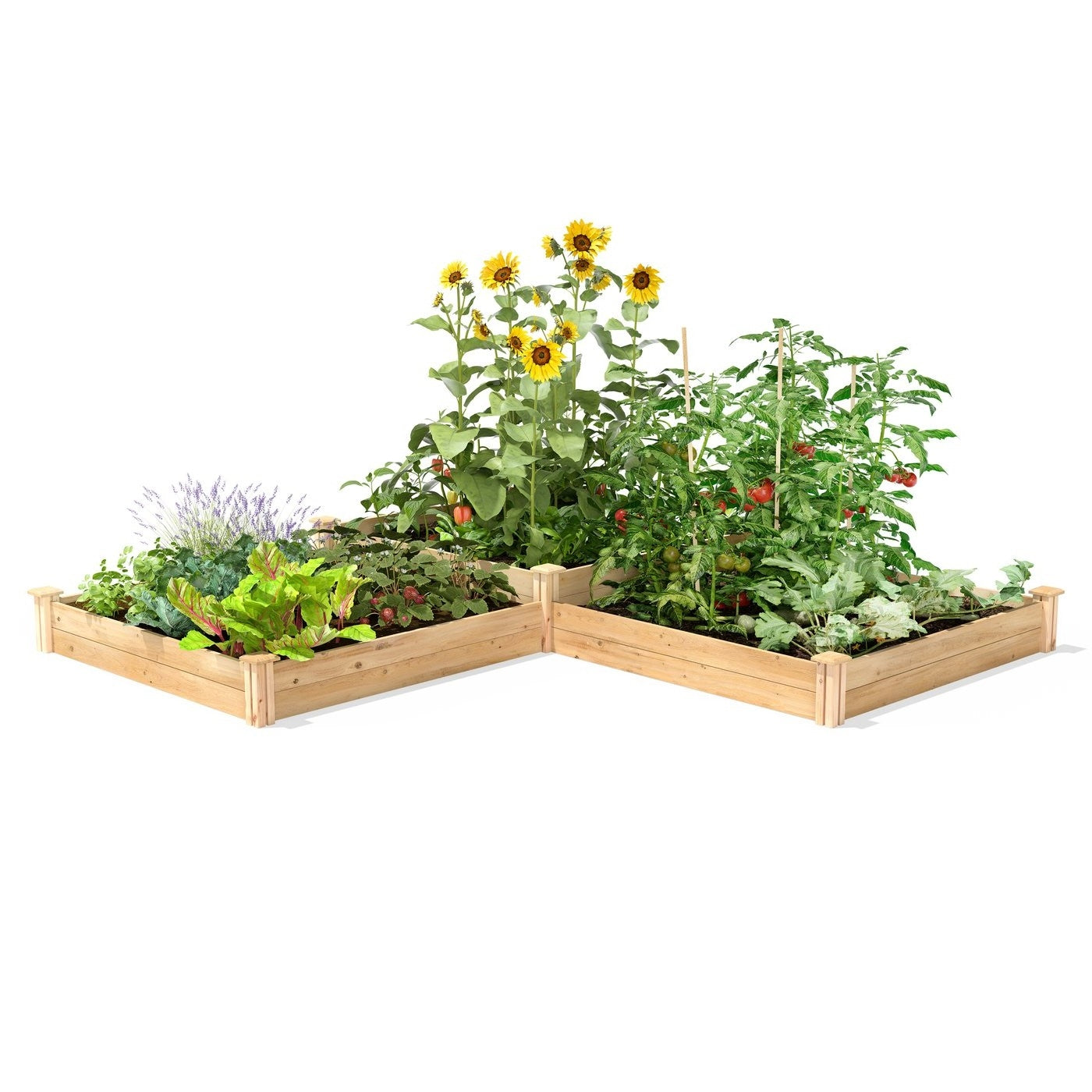 Huerto Elevado de Madera de Pino Estilo Rústico 1.2 m x 3.6 m - Hecho en EE. UU.