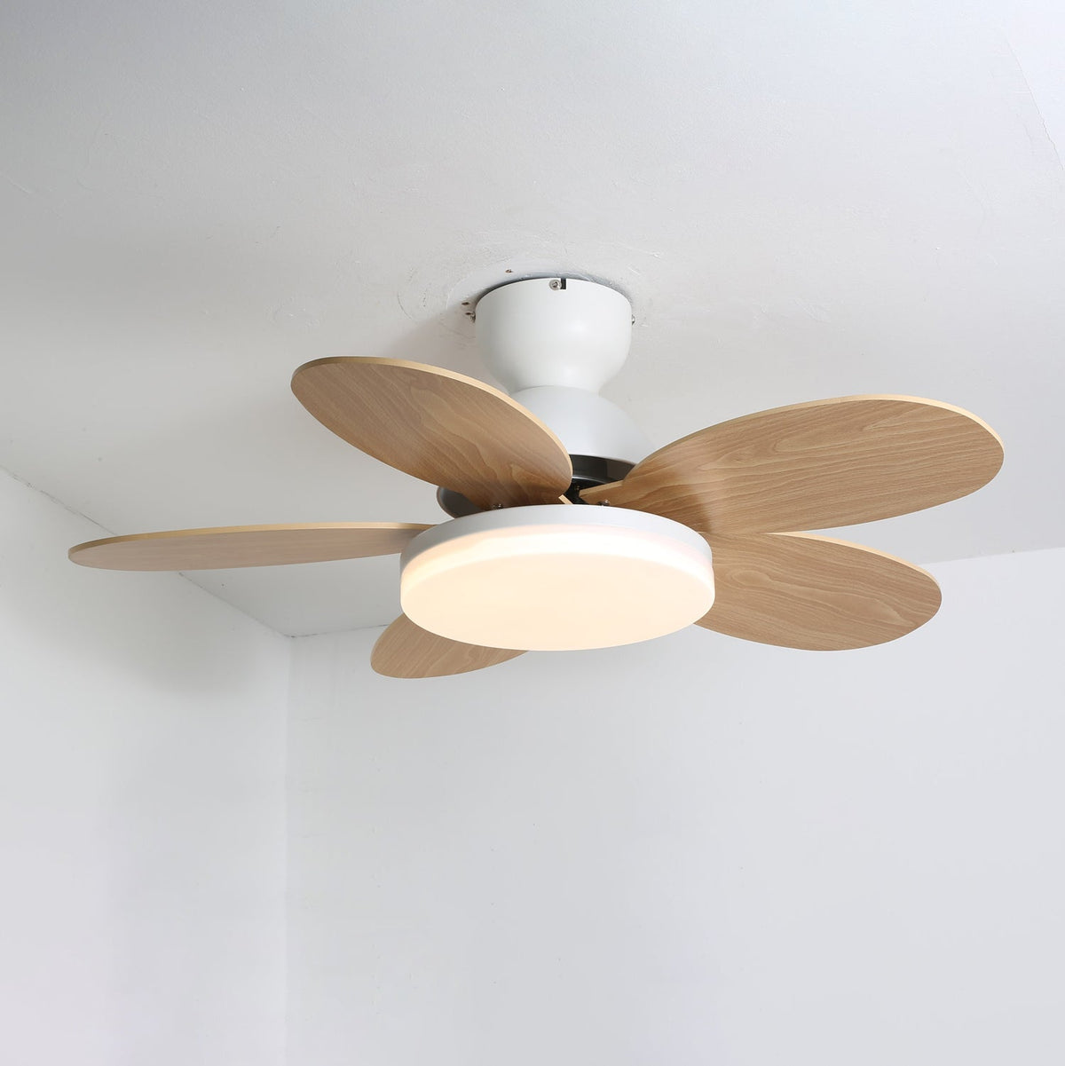 Petal-Shaped Ceiling Fan with LED Light and Remote | Quiet Reversible DC Motor